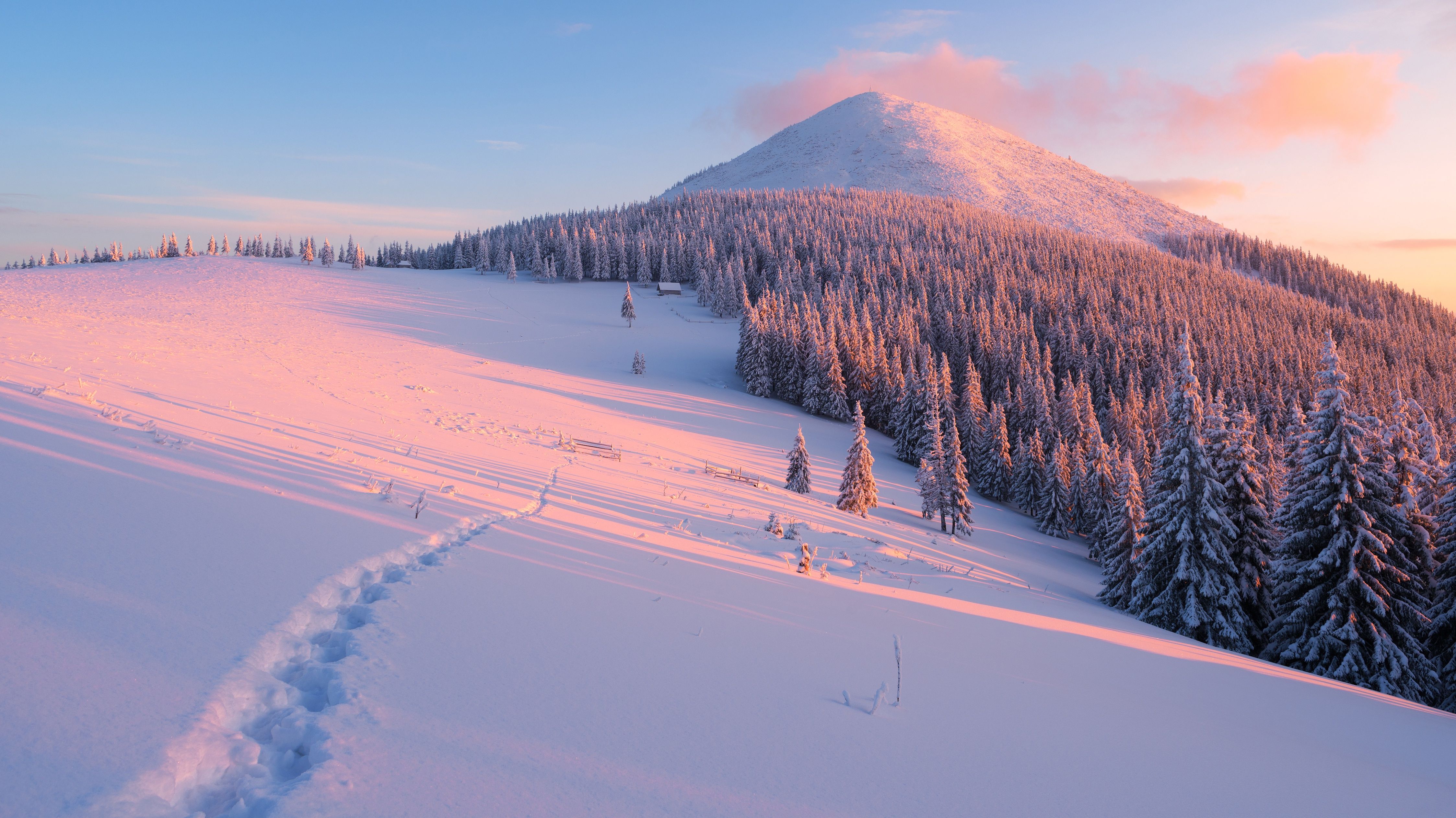 4493x2527 Winter Whisper: Snow Covered Mountain Forest In 4K Ultra HDx2527