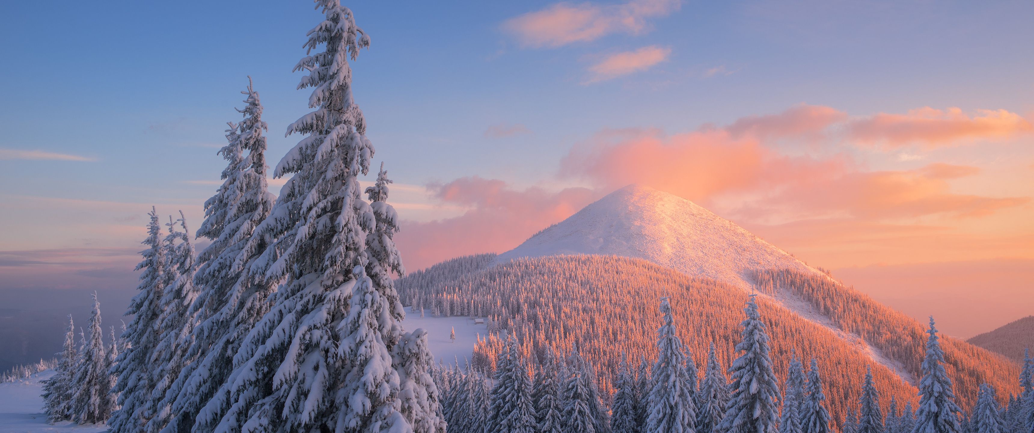 3440x1440 Download Winter, Snow, Nature, Trees, Spruce, Pine, Mountains Wallpaper in 3440x1440 Resolution