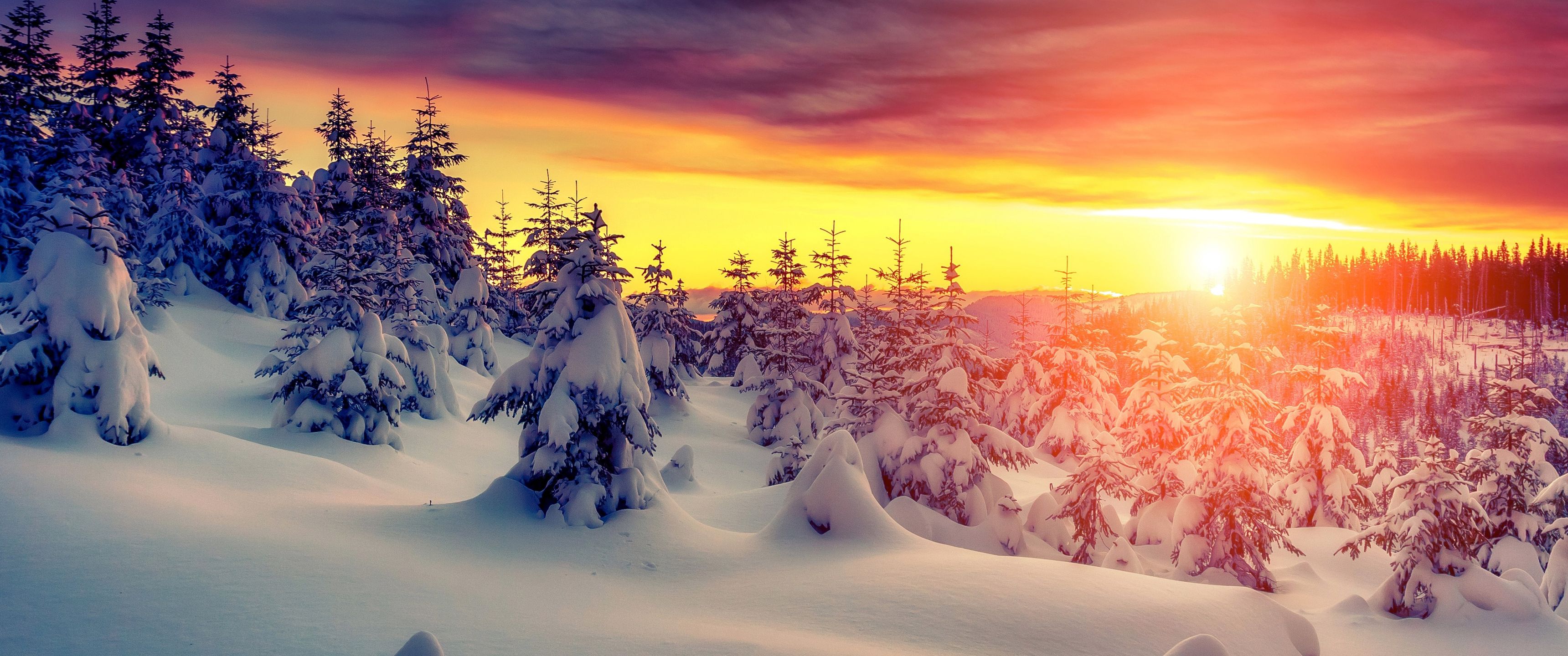 3440x1440 Download Sunset over the winter forest, Sunset, Winter, Forest, Winter, Snow, Trees Wallpaper in 3440x1440 Resolution