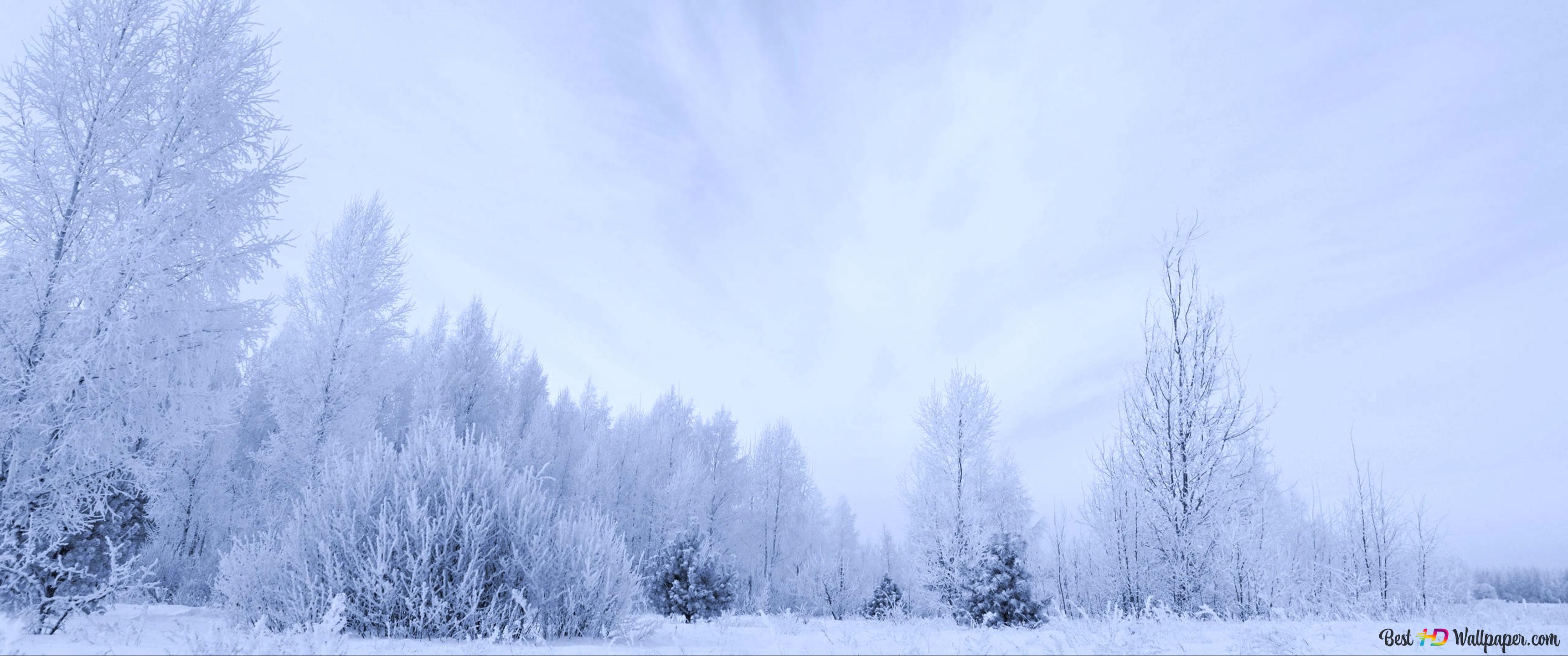 3440x1440 A very white winter 4K wallpaper download