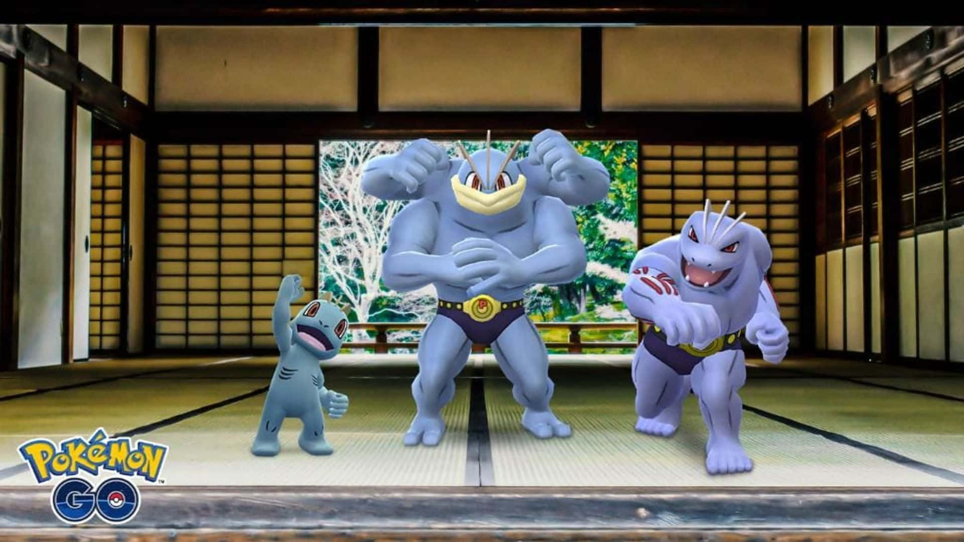 1920x1080 Baixar Papelde parede 3D do Pokémon Machop, Machamp e Machoke. Papéis de Parede
