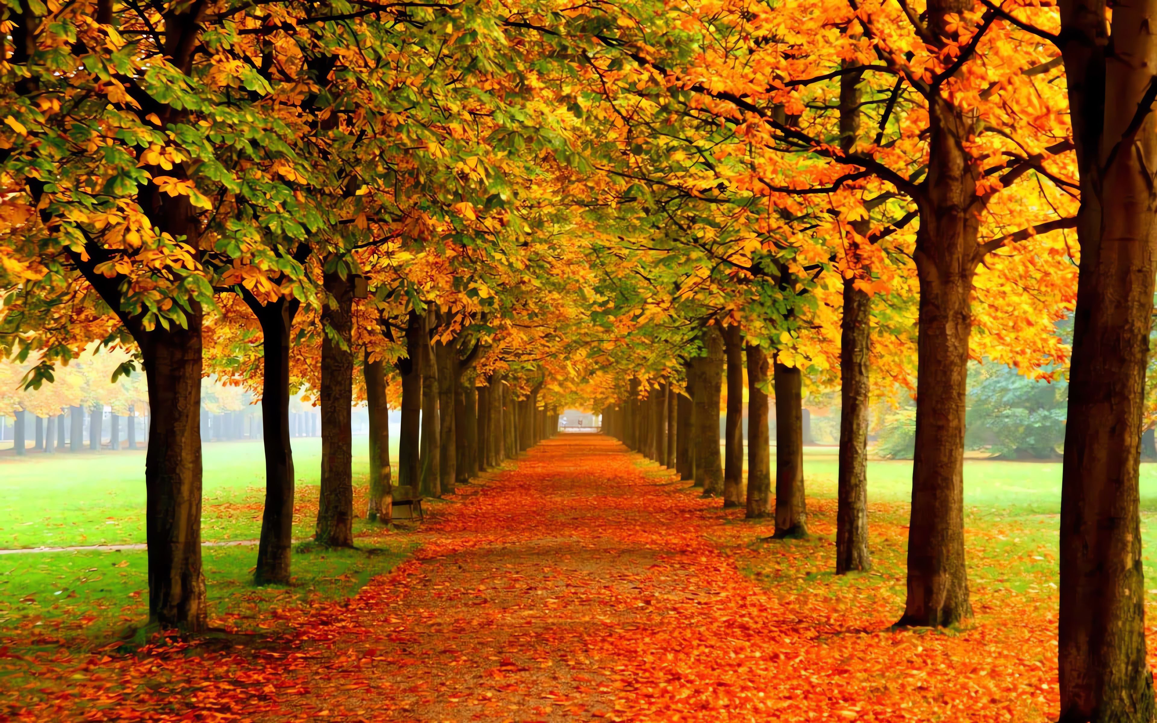 3840x2400 Nice Wallpaper