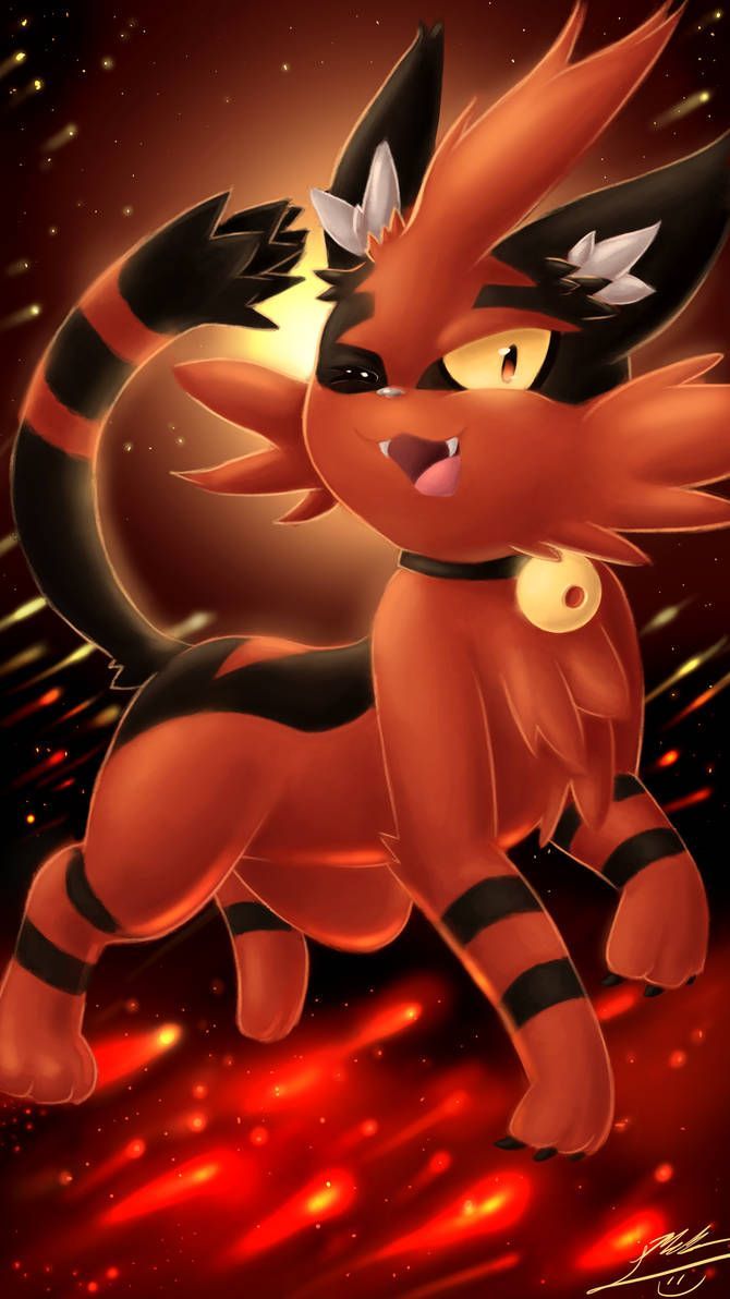 670x1192 Torracat!