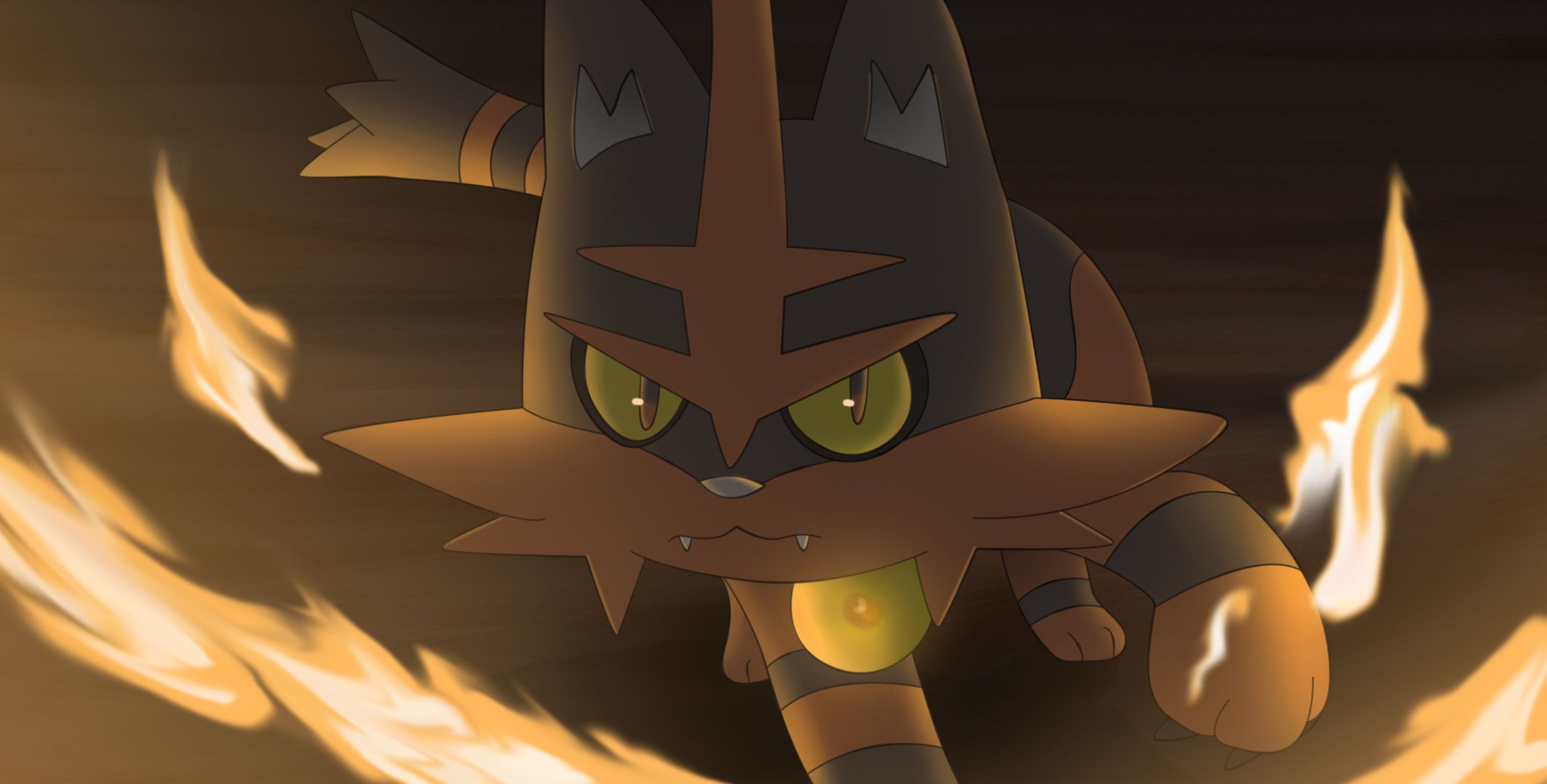 2500x1267 Torracat Blaze HD Wallpaper