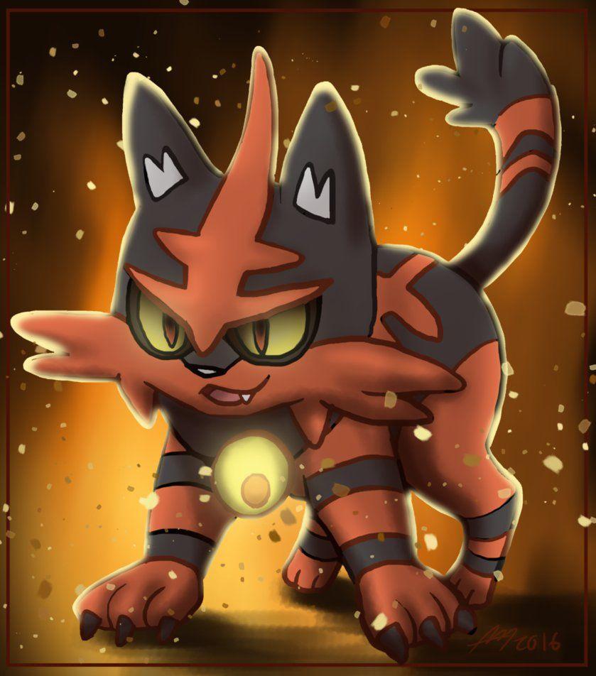 839x952 Torracat HD Wallpaper