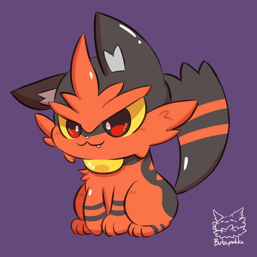 894x894 Torracat Pokémon Wallpaper