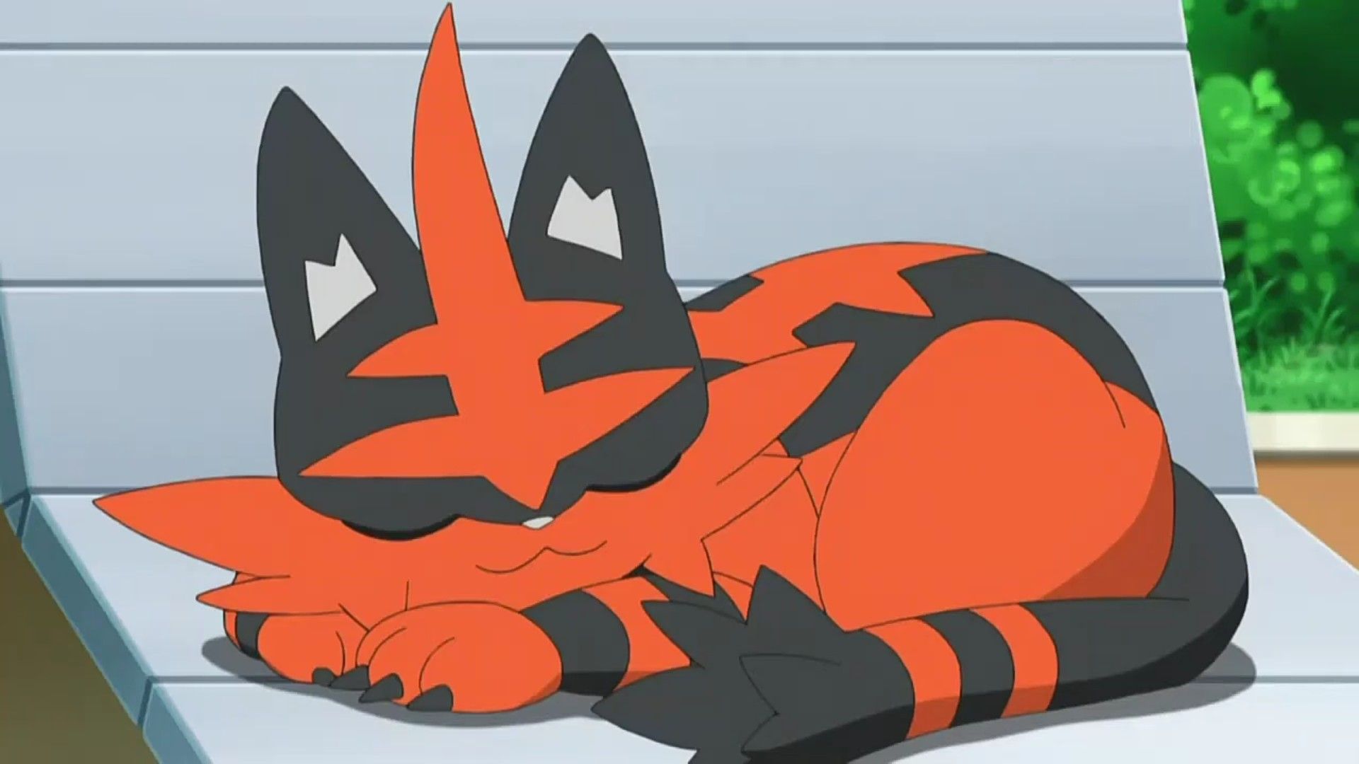 1920x1080 Torracat screenshot. Torra cat, Torracat wallpaper, Torracat pfp
