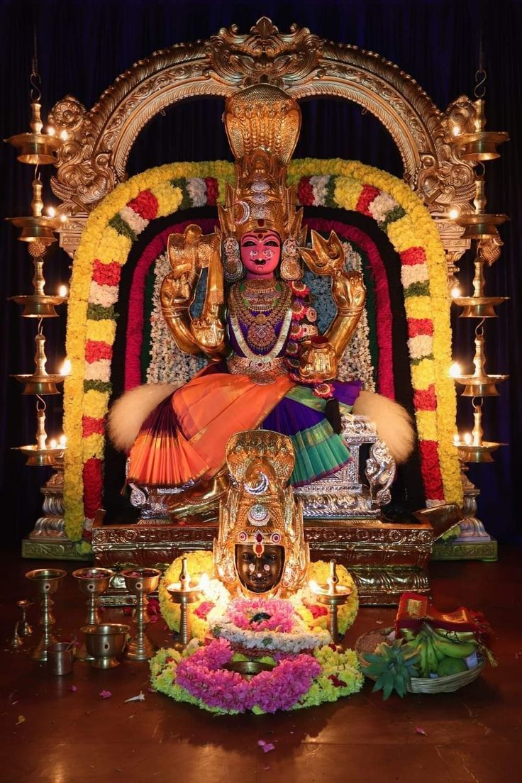 736x1104 Varahi matha. Varahi devi HD image wallpaper, Hindu gods, Hindu deities