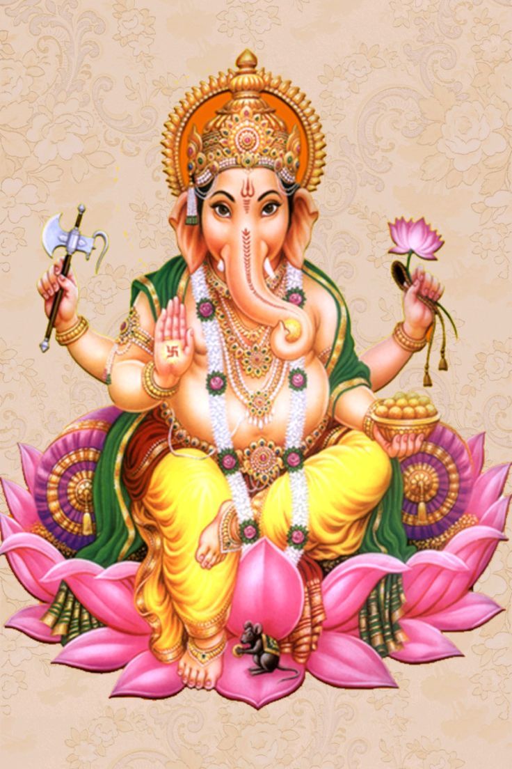 736x1104 Varahi matha. Varahi devi image, God vinayagar HD image, Ganesha hindu