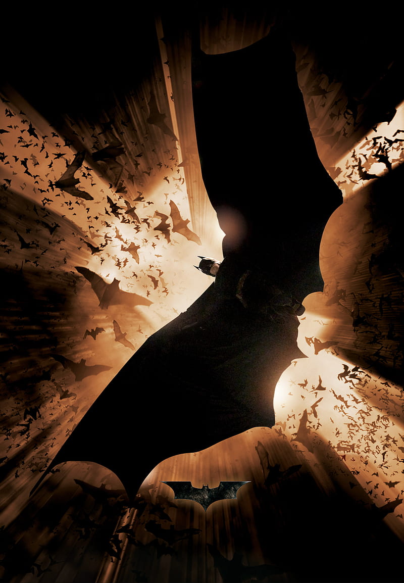 800x1154 Batman Begins, dark, dc, dc comics murcielago, HD phone wallpaper