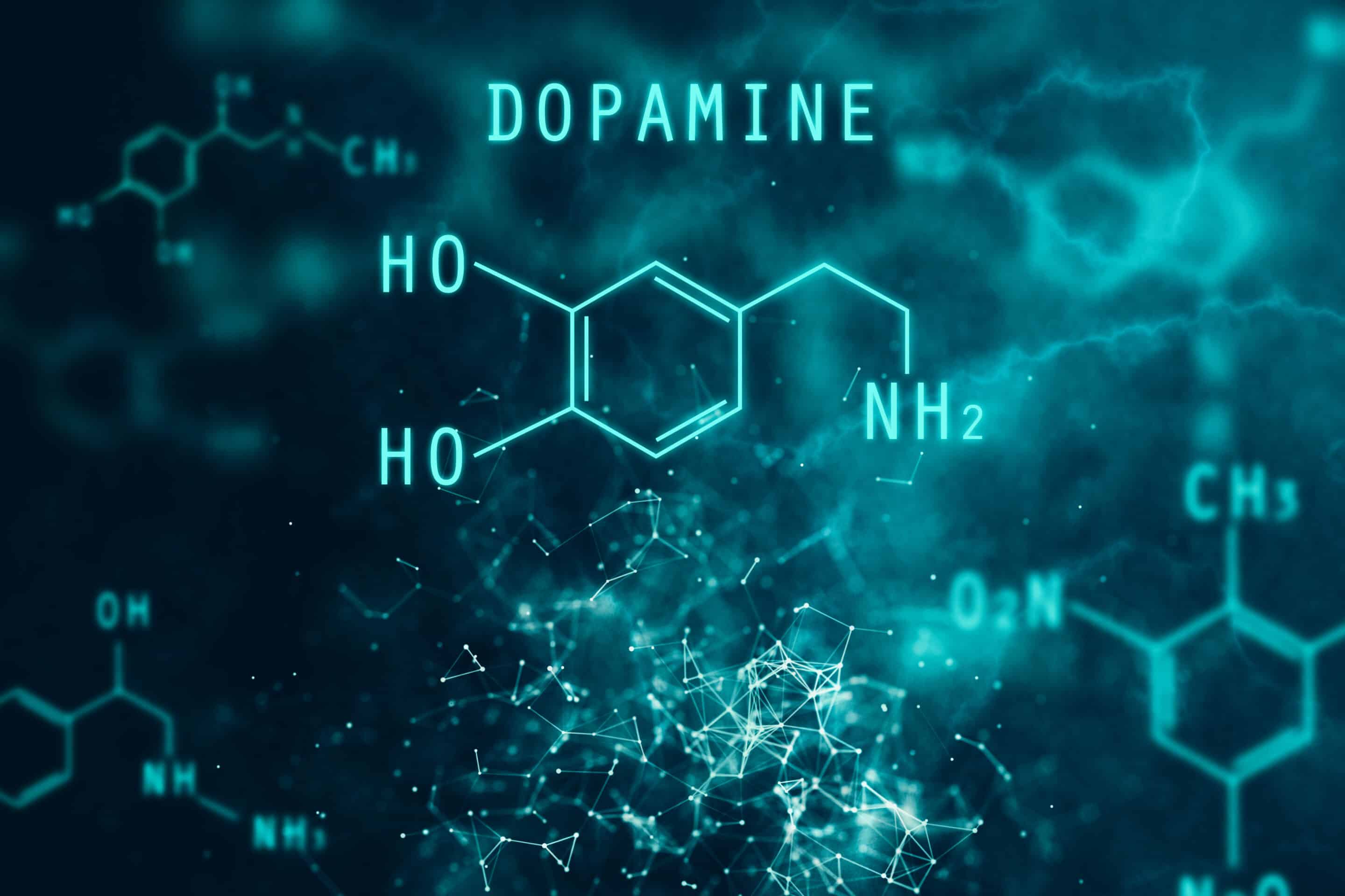 2880x1920 How Long Does It Take For Dopamine To Reset