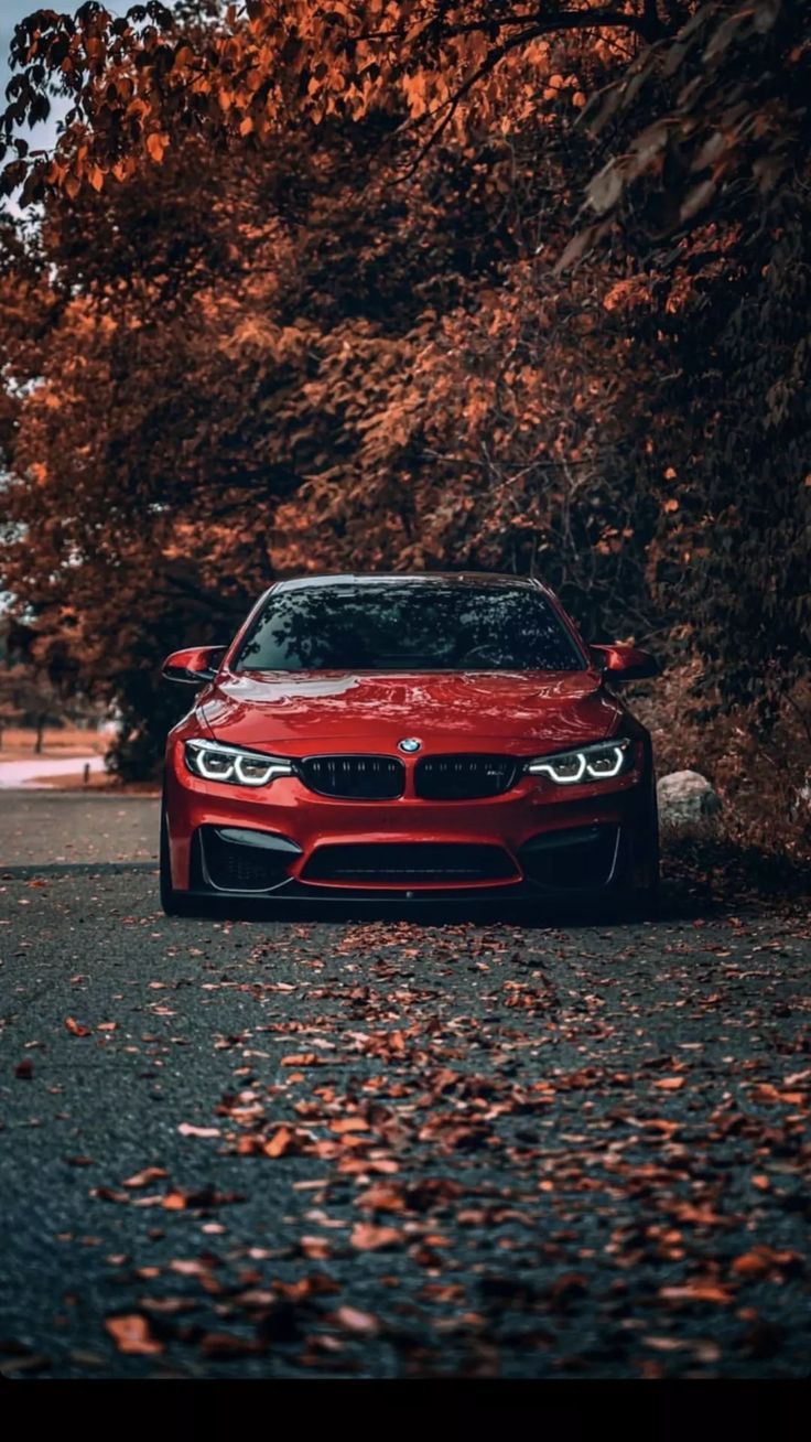 736x1308 BMW M4: Сезон удовольствия?. Bmw m4 red color, Red bmw m4 wallpaper, Red bmw m3
