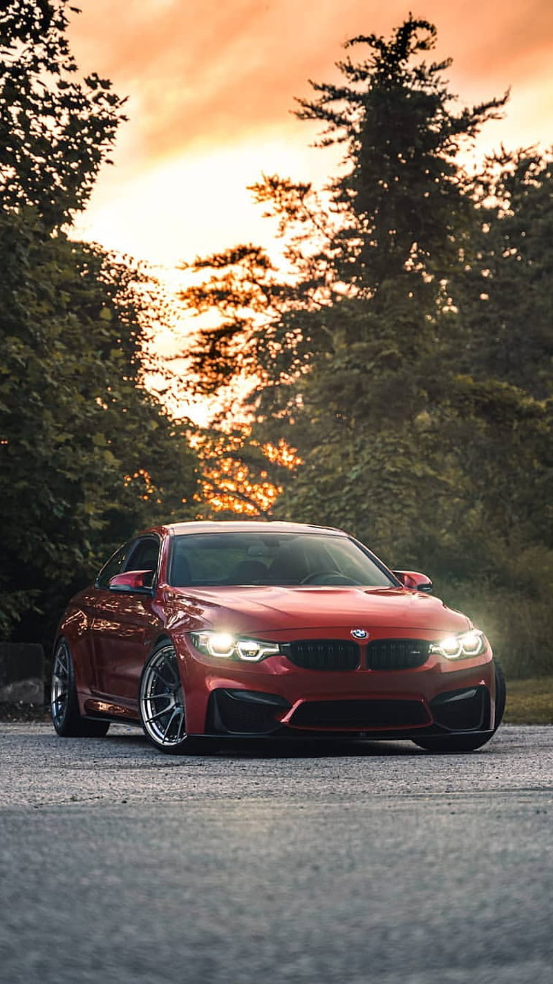 800x1423 BMW M car, coupe, f m power, red, tuning, vehicle, HD phone wallpaper