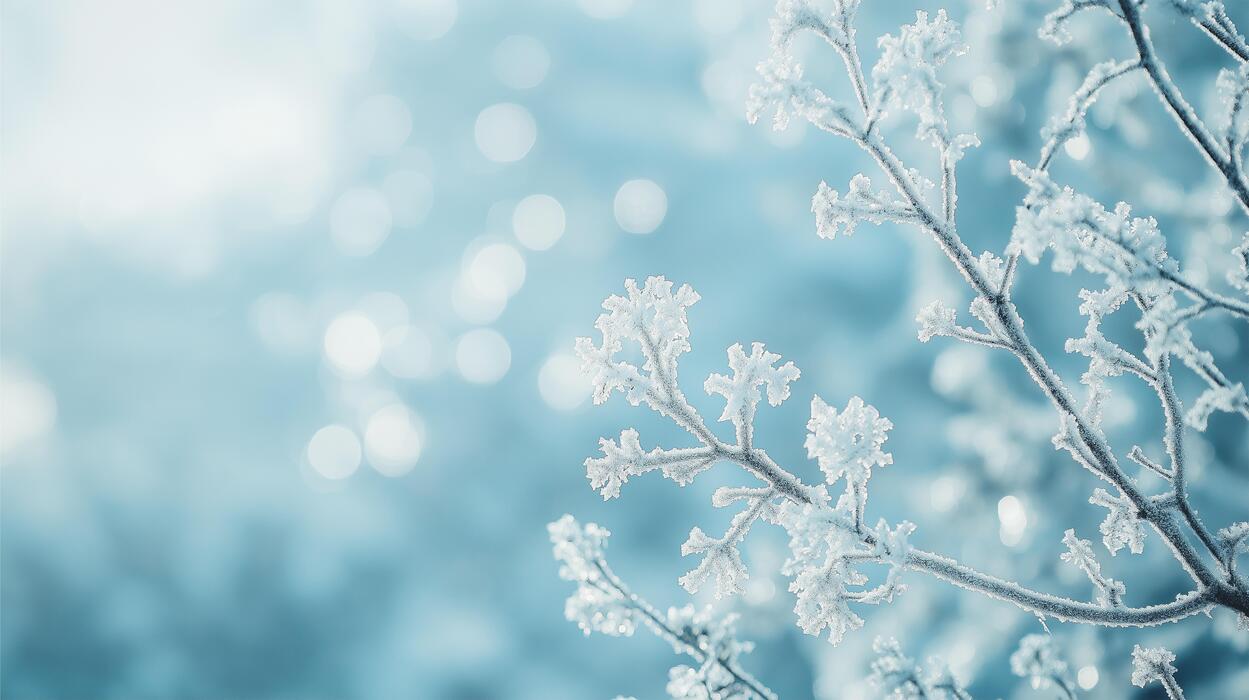 1249x700 Icy blue fading into frosty white HD Background, Luxury HD wallpaper Image, Trendy Background illustration