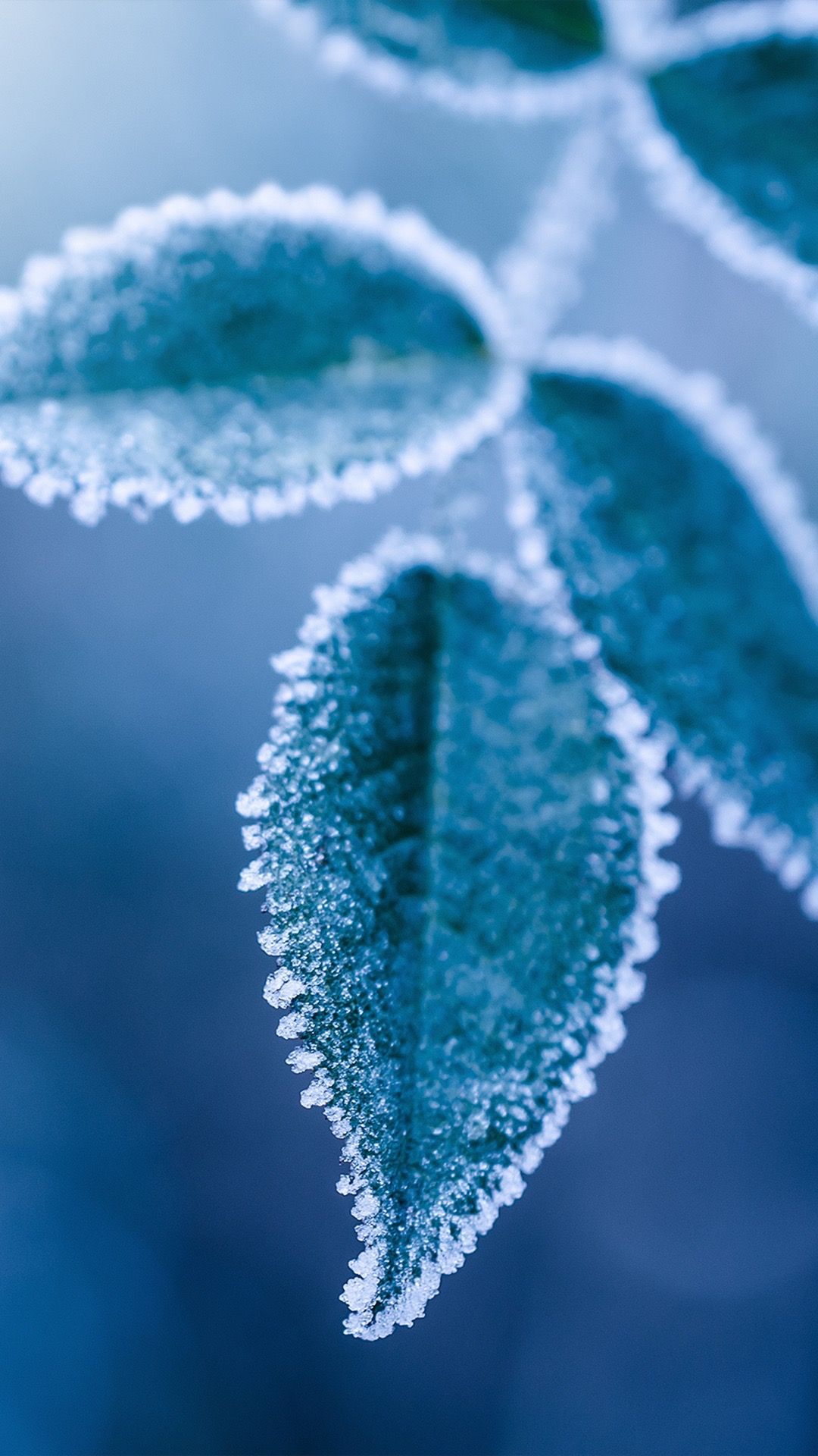 1080x1920 Icy Blue Wallpaper