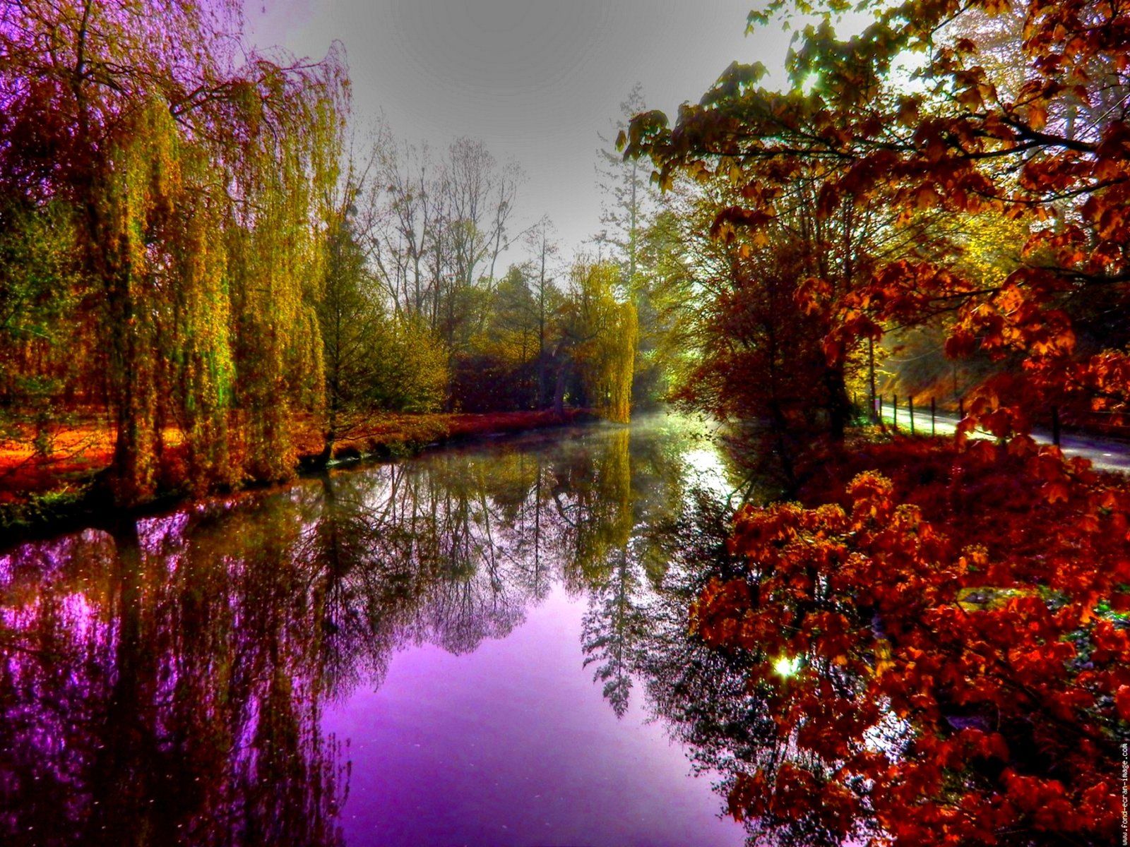 1600x1200 Vibrant Purple Fall Reflections: Scenic Nature HD Wallpaperx1200