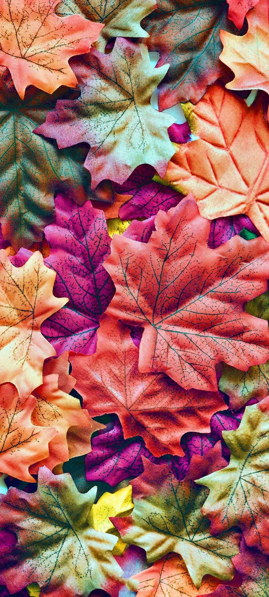 1080x2400 Purple Autumn Wallpaper