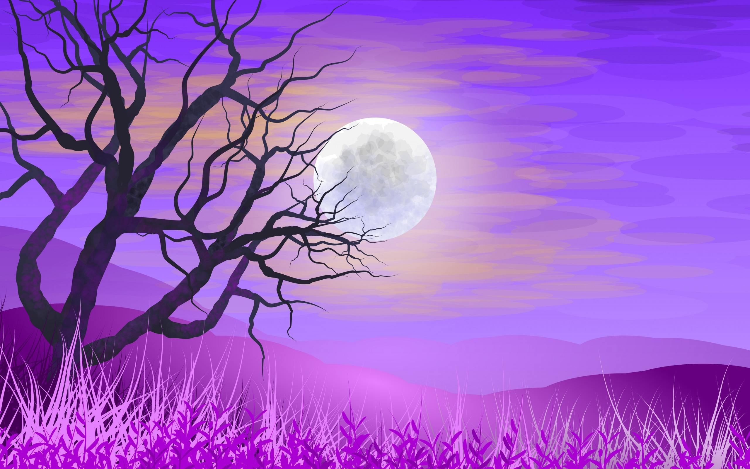2560x1600 Autumn Tree Without Leaves Wallpaper, HD Nature 4K Wallpaper, Image and Background