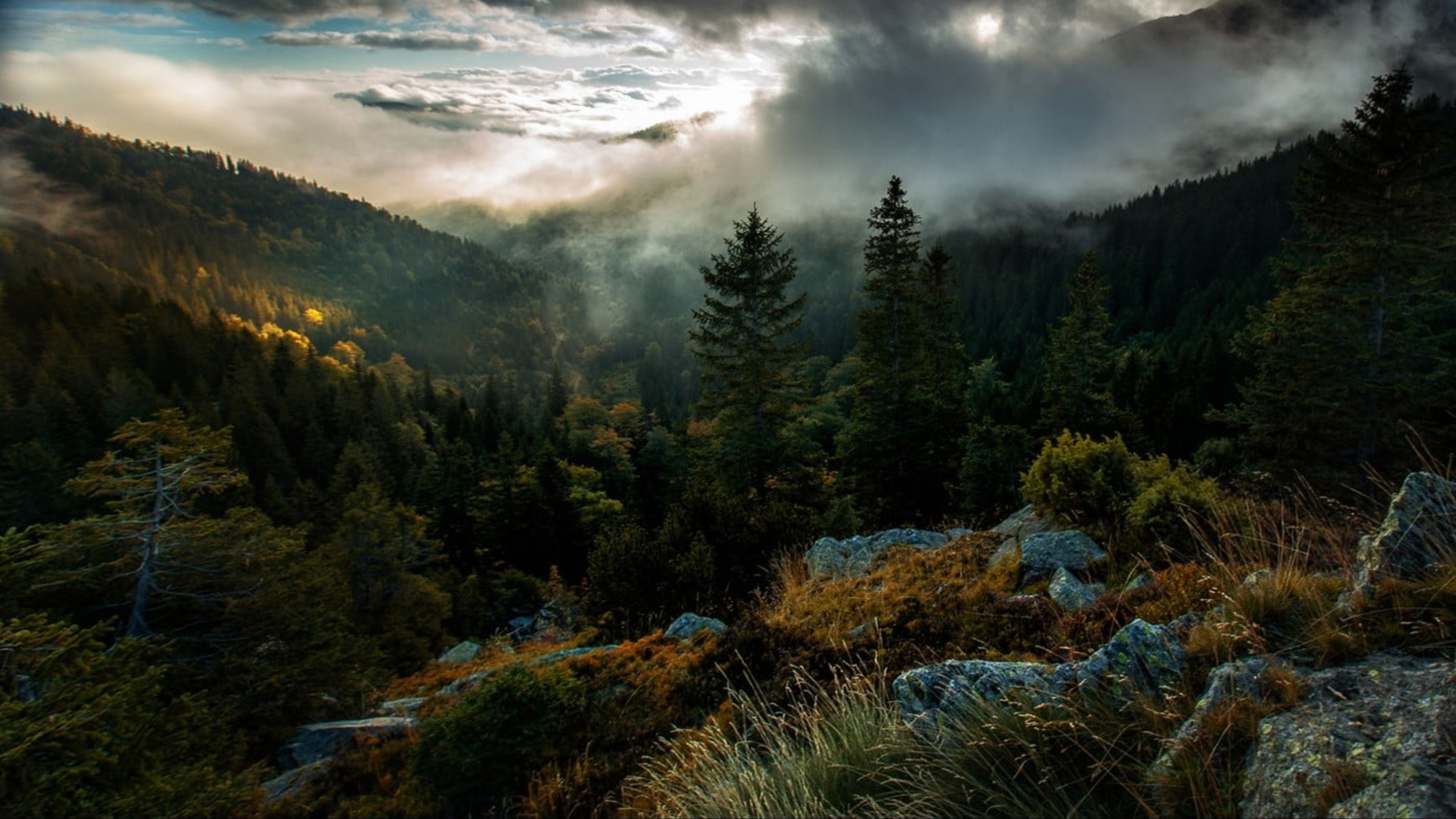 3840x2160 Areal Photography Of Forest Covered With Mist Under Cloudy Sky During Morning Time 4K HD Nature Wallpaper