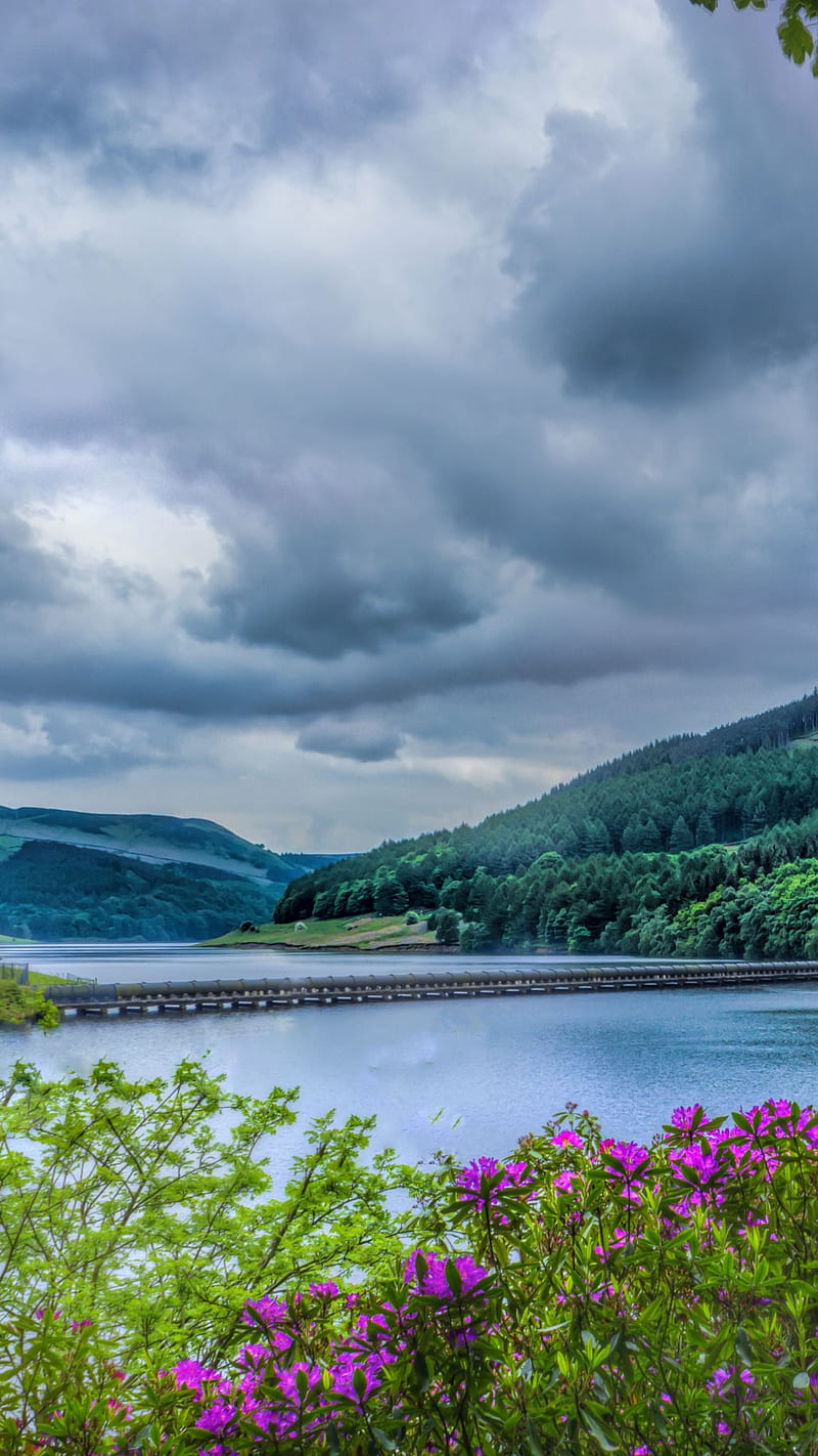 800x1422 Nature, brances, cloudy sky, flowers, hills, lake, scenery, HD phone wallpaper