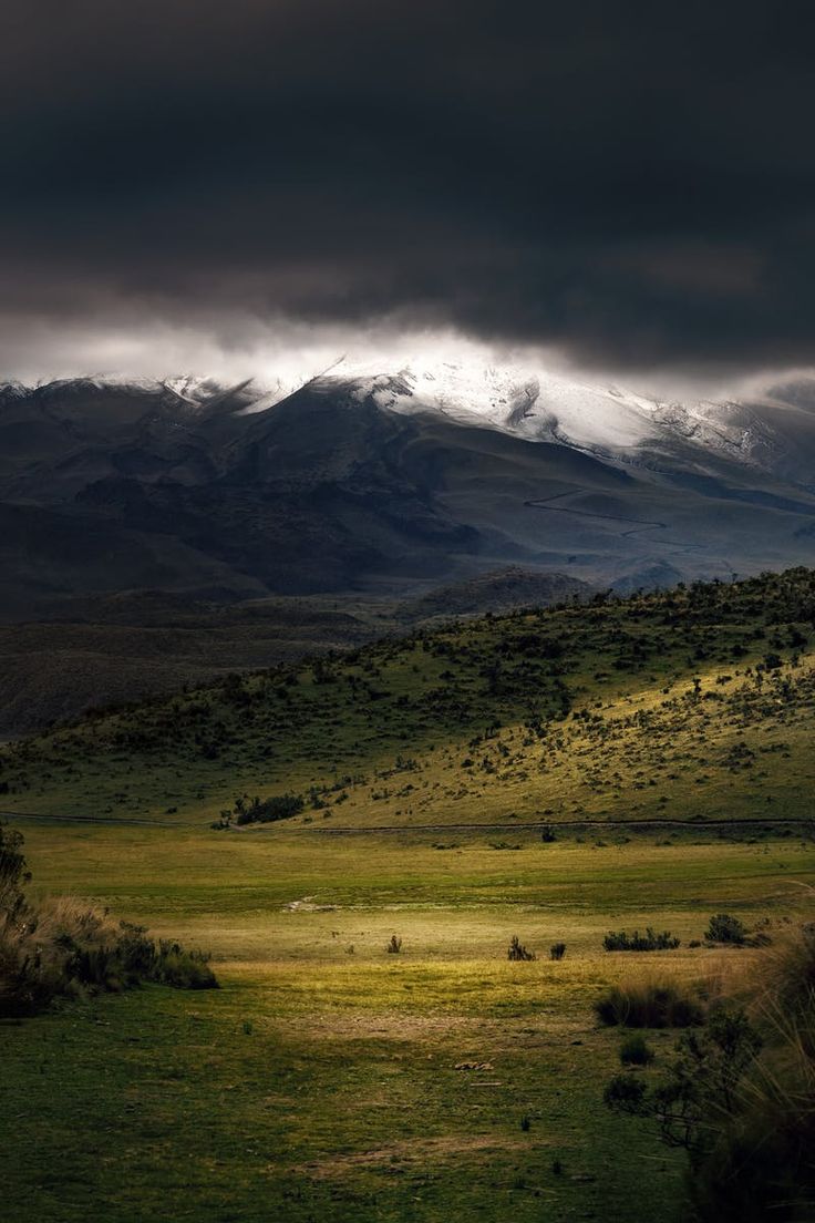 736x1104 Best 4k Wallpaper Nature Photo