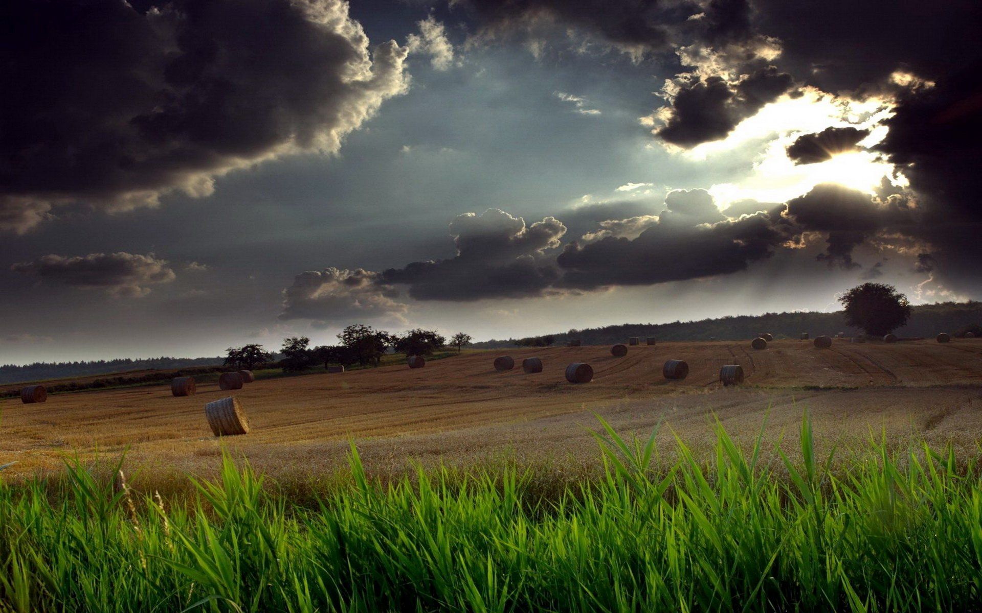 1920x1200 Serene HD Wallpaper: Nature's Landscape with Cloudy Skies and Golden Fieldsx1200