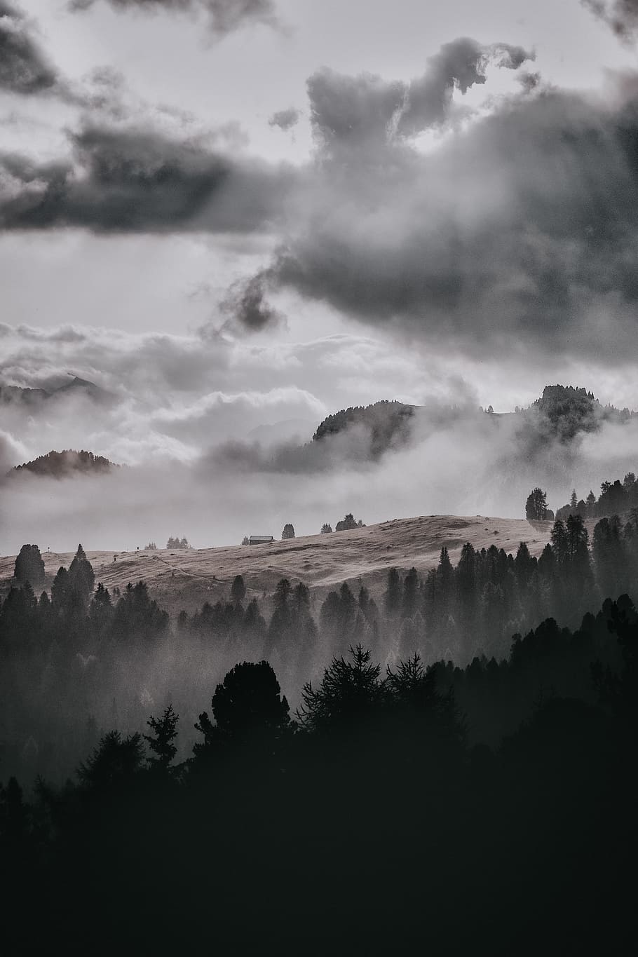 910x1365 trees, surround, fog, cloudy, sky, foggy, cloud, mist