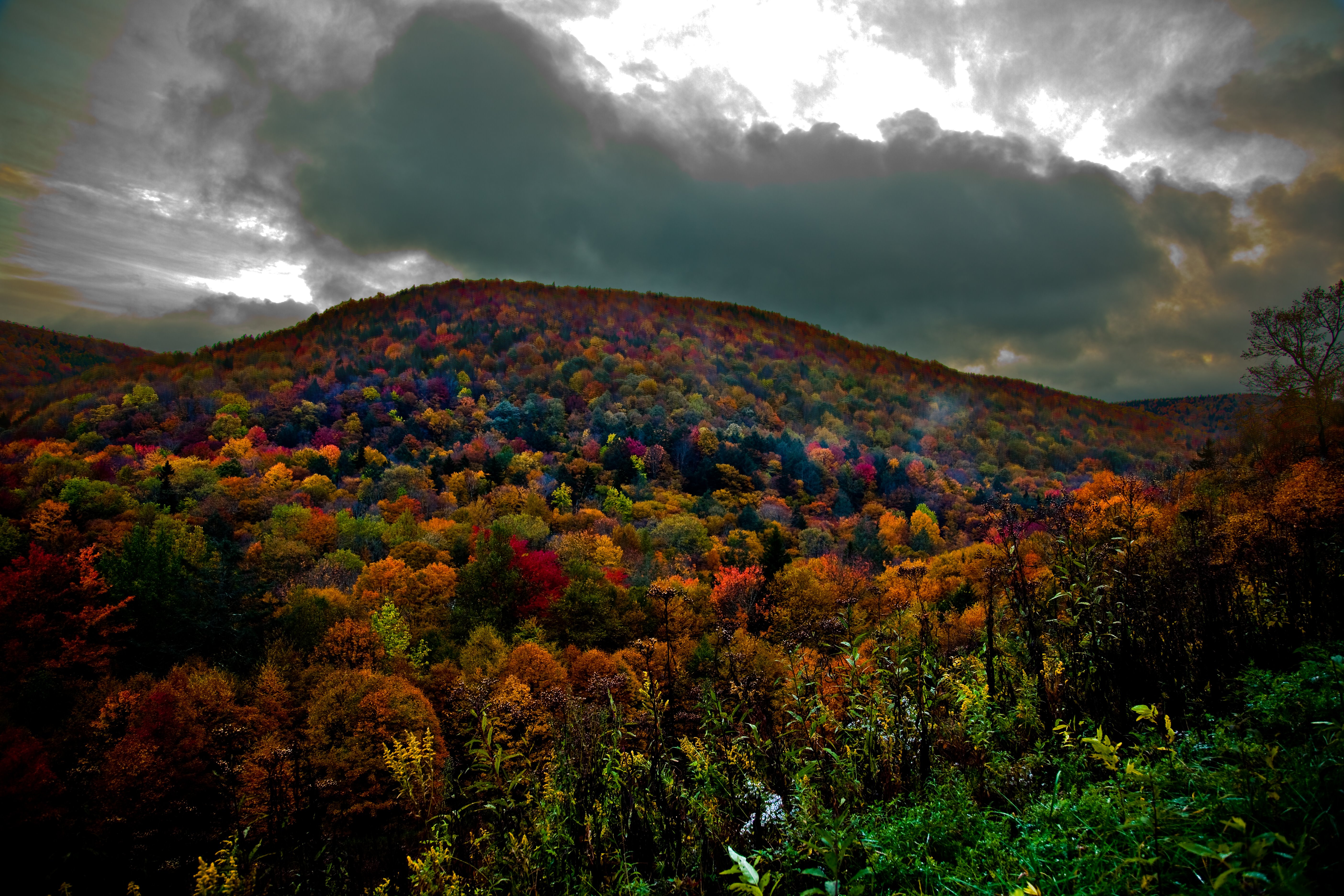 5616x3744 Free Nature Picture by ForestWander Nature Photography