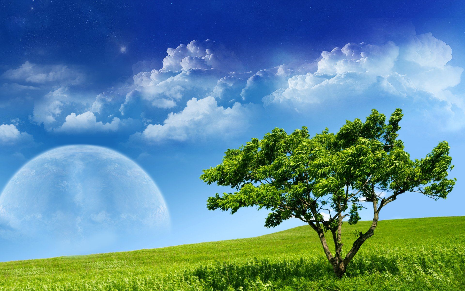 1920x1200 Dreamy Nature: HD Wallpaper of Cloudy Skies and a Serene Treex1200
