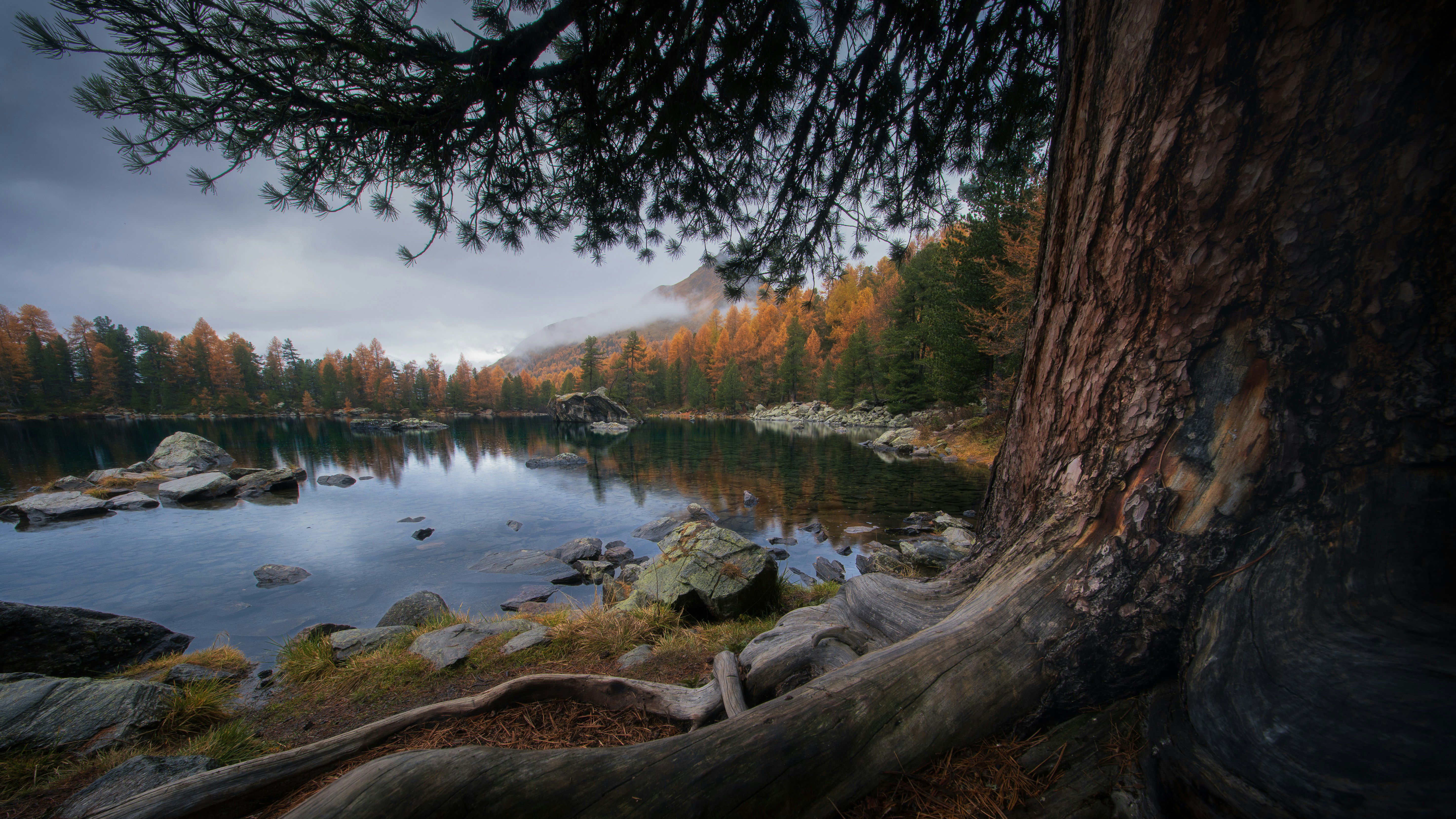 5900x3319 Autumn Scenery Of A Swiss Mountain Lake On A Cloudy Day Wallpaper, HD Nature Wallpaper, 4k Wallpaper, Image, Background, Photos and Picture