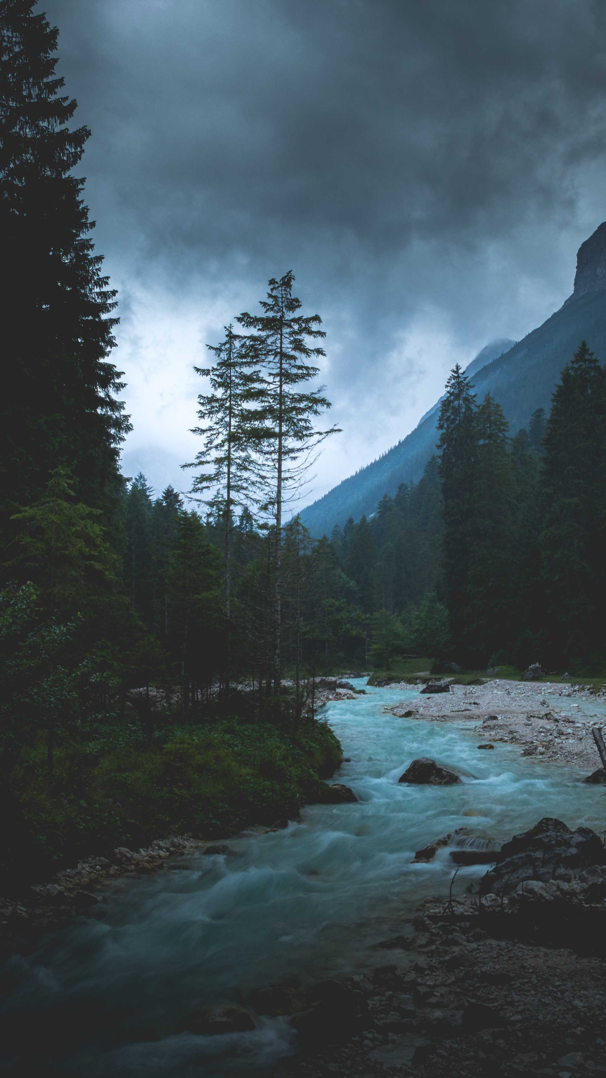 2052x3648 Cloudy Forest Wallpaper