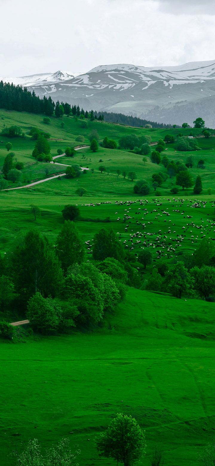 720x1560 Green Hills Under A Cloudy Sky 4K phone Wallpaper
