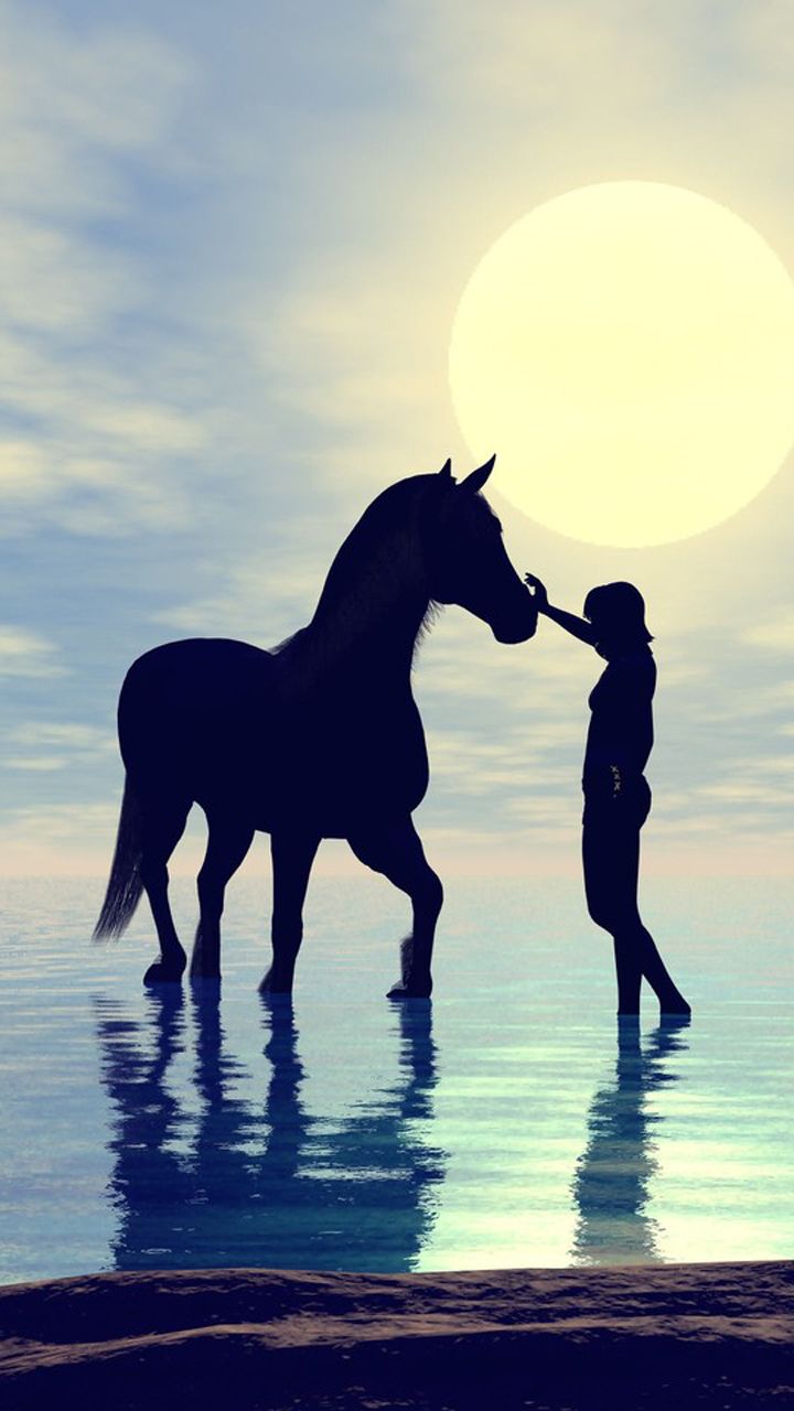720x1280 Beautiful Horse Picture Picture, Beautiful Horses, Cool Cover Photo. Silhouette of horses in nature, Black horse on beach background, Black pegasus on beach