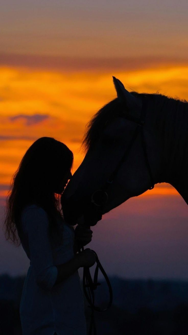 736x1307 Bn. Cute horse picture, Beautiful horses, Horse photography poses