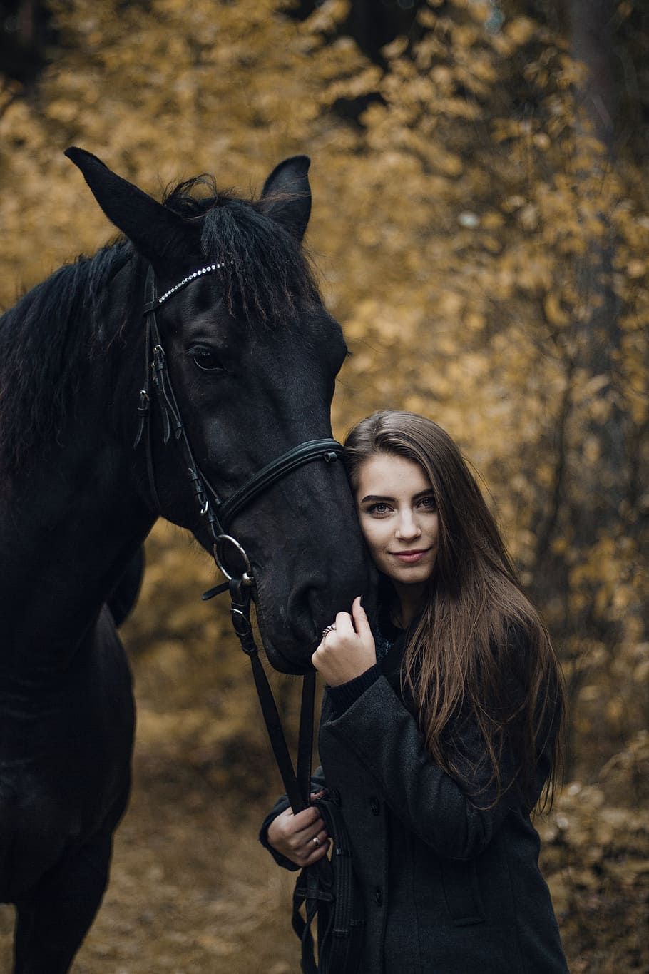 910x1365 horseback riding 1080P, 2K, 4K, 5K HD wallpaper free download