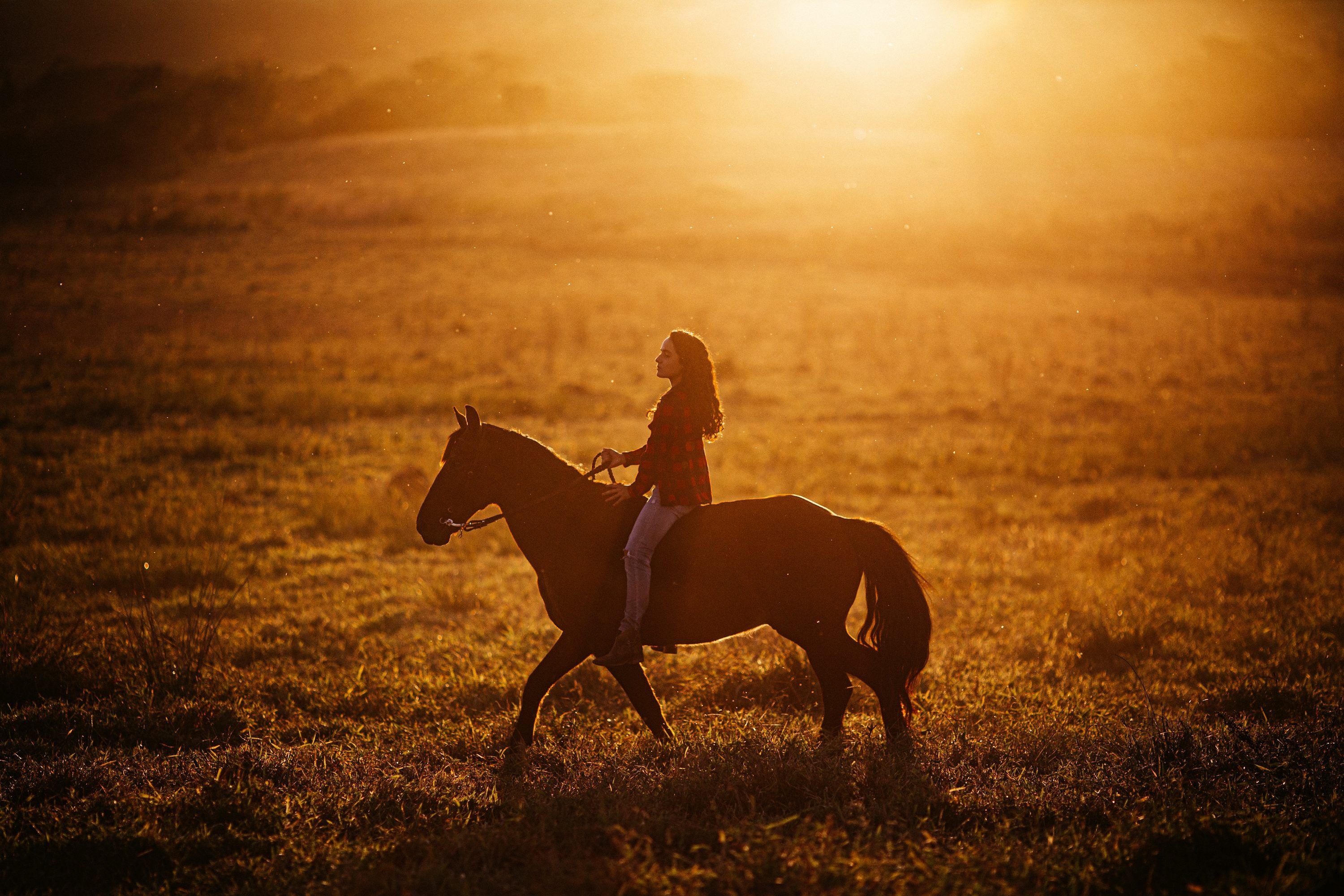 3000x2000 A girl riding a horse in a field at sunset