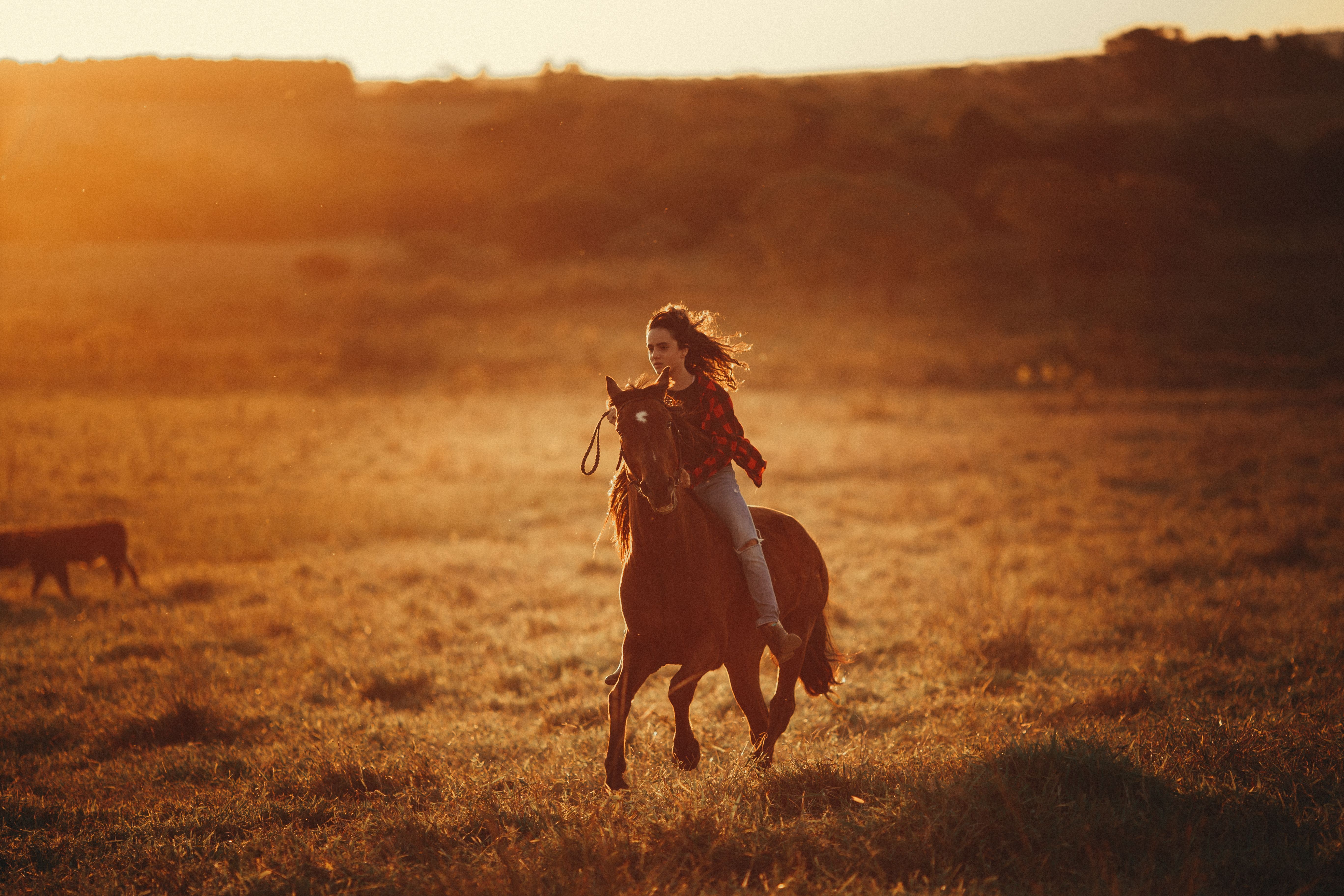 5472x3648 Woman riding horse on grassy field · Free