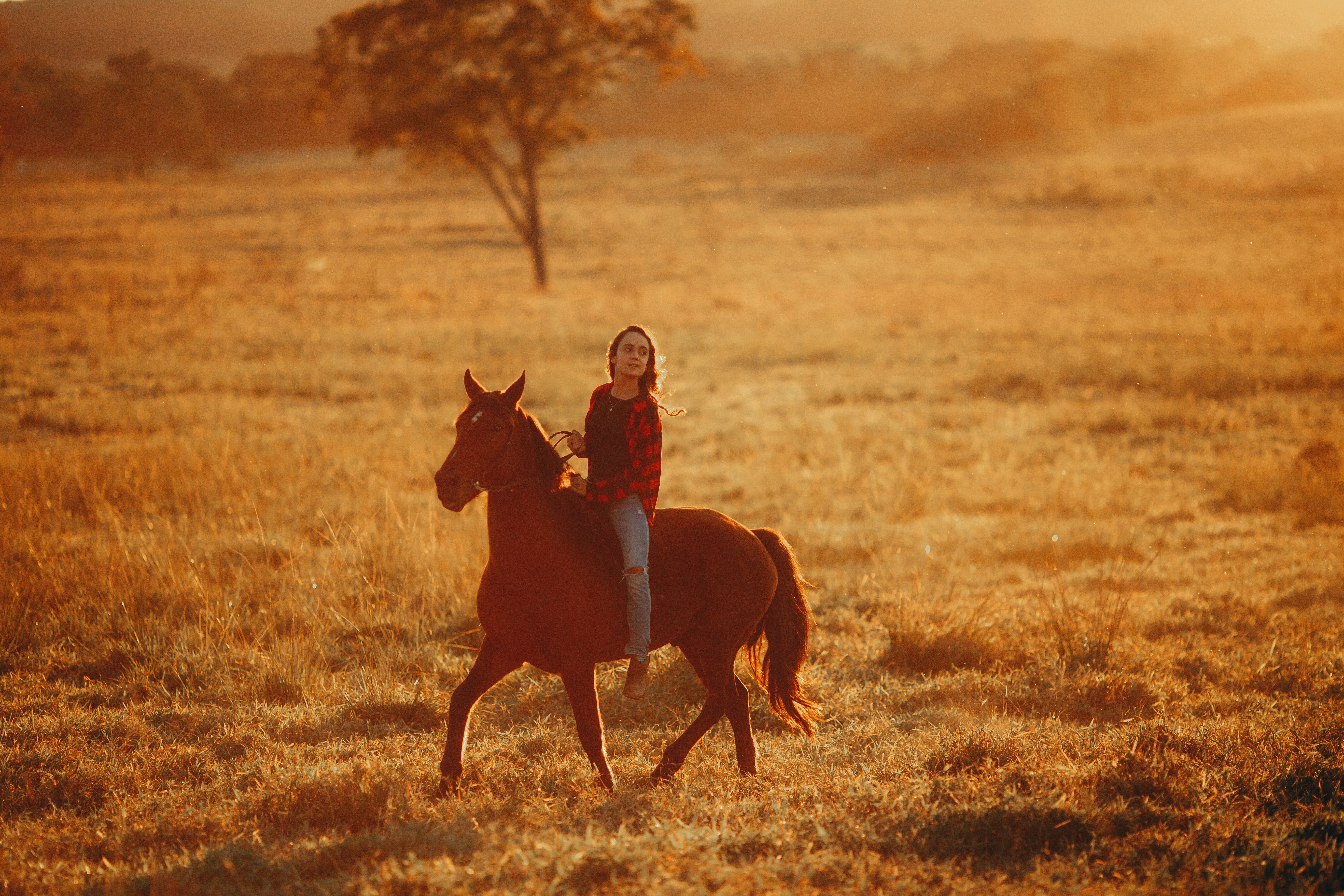 5472x3648 Young woman riding horse in vast field with trees · Free
