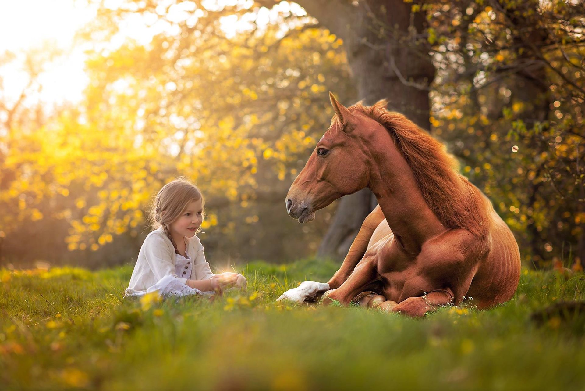 1920x1282 Enchanting Moment: Little Girl and Horse in HD Artistic Harmonyx1282