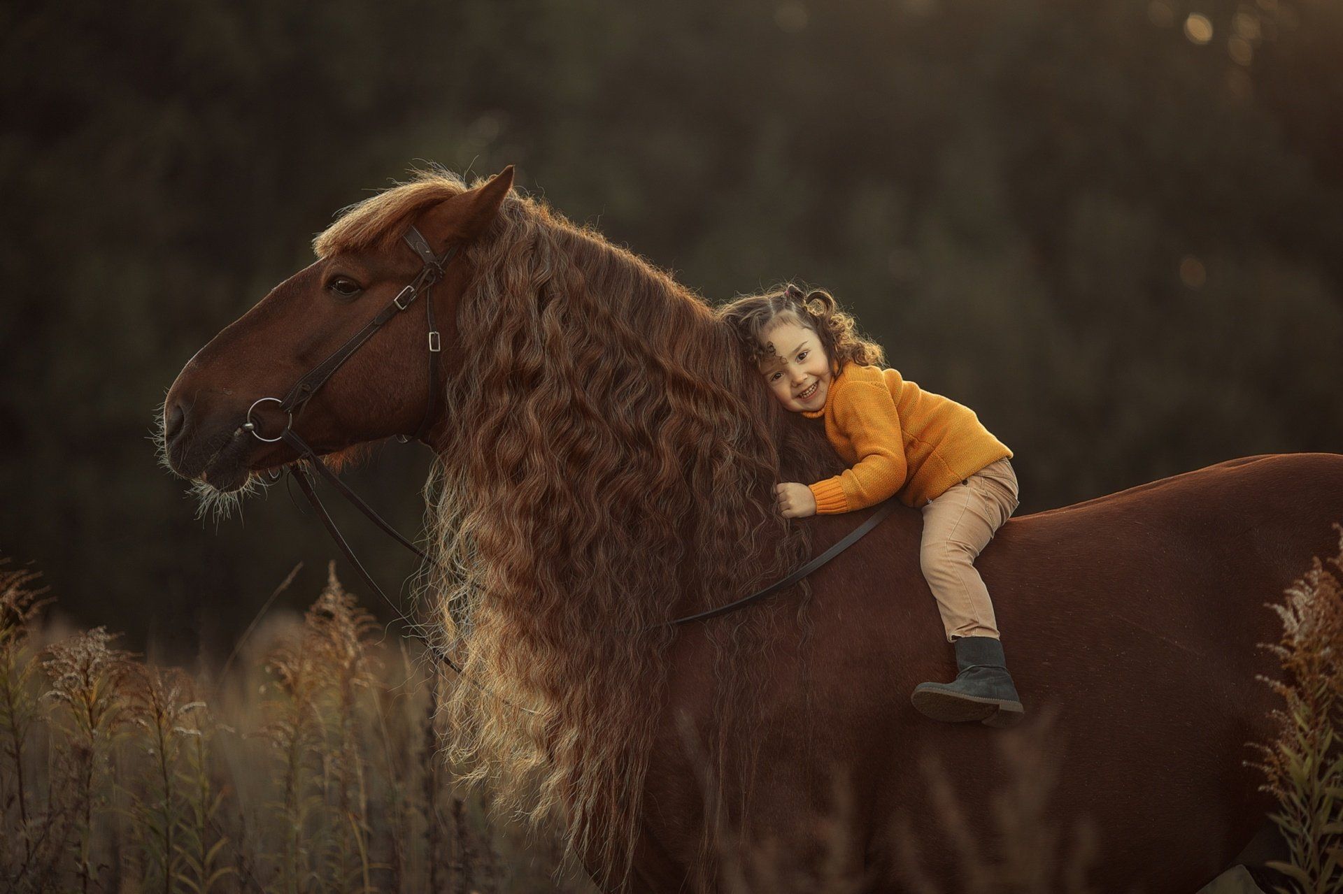 1920x1279 Enchanting Moments: Little Girl and Horse HD Wallpaperx1279