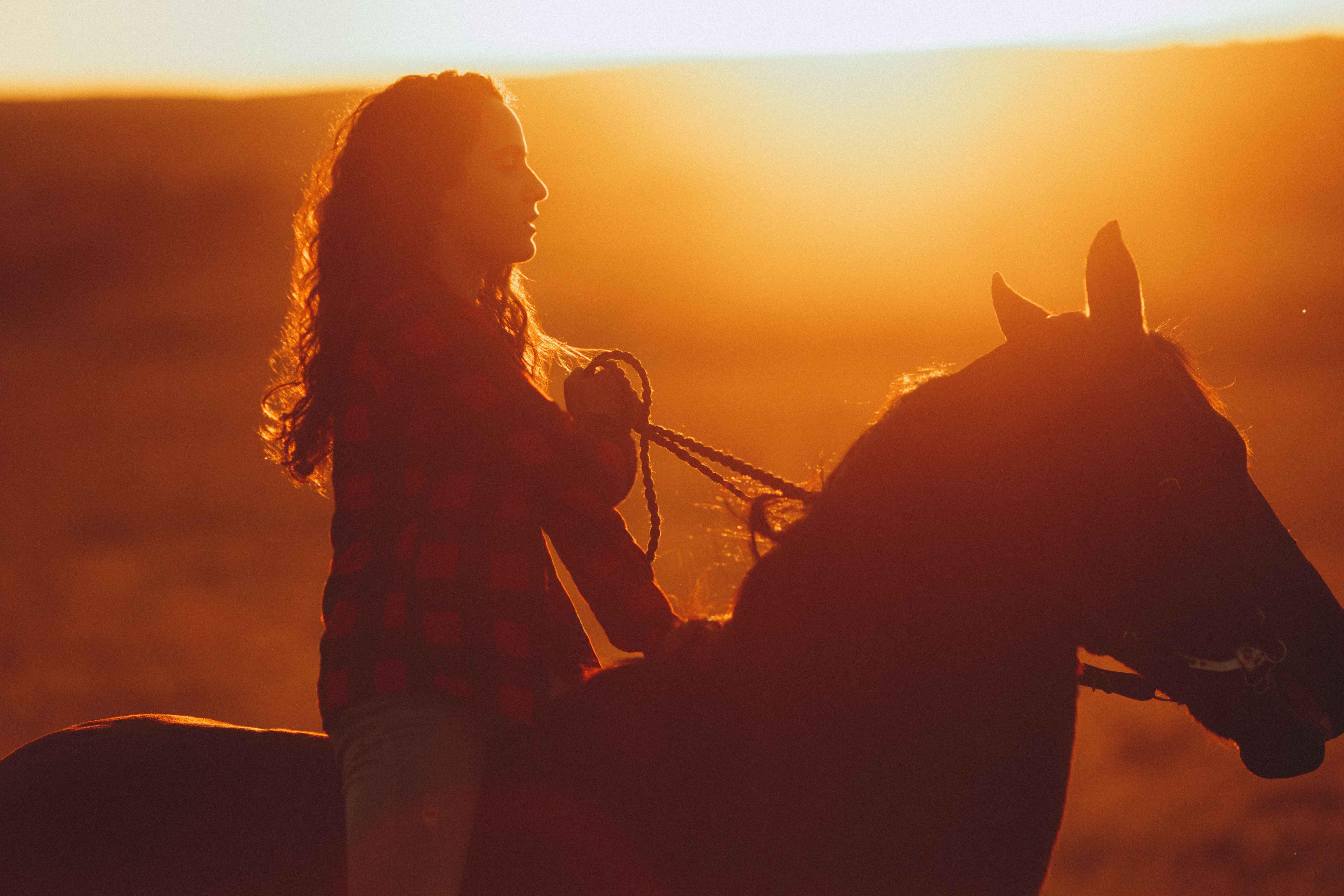 5472x3648 Young woman riding horse in rural field · Free