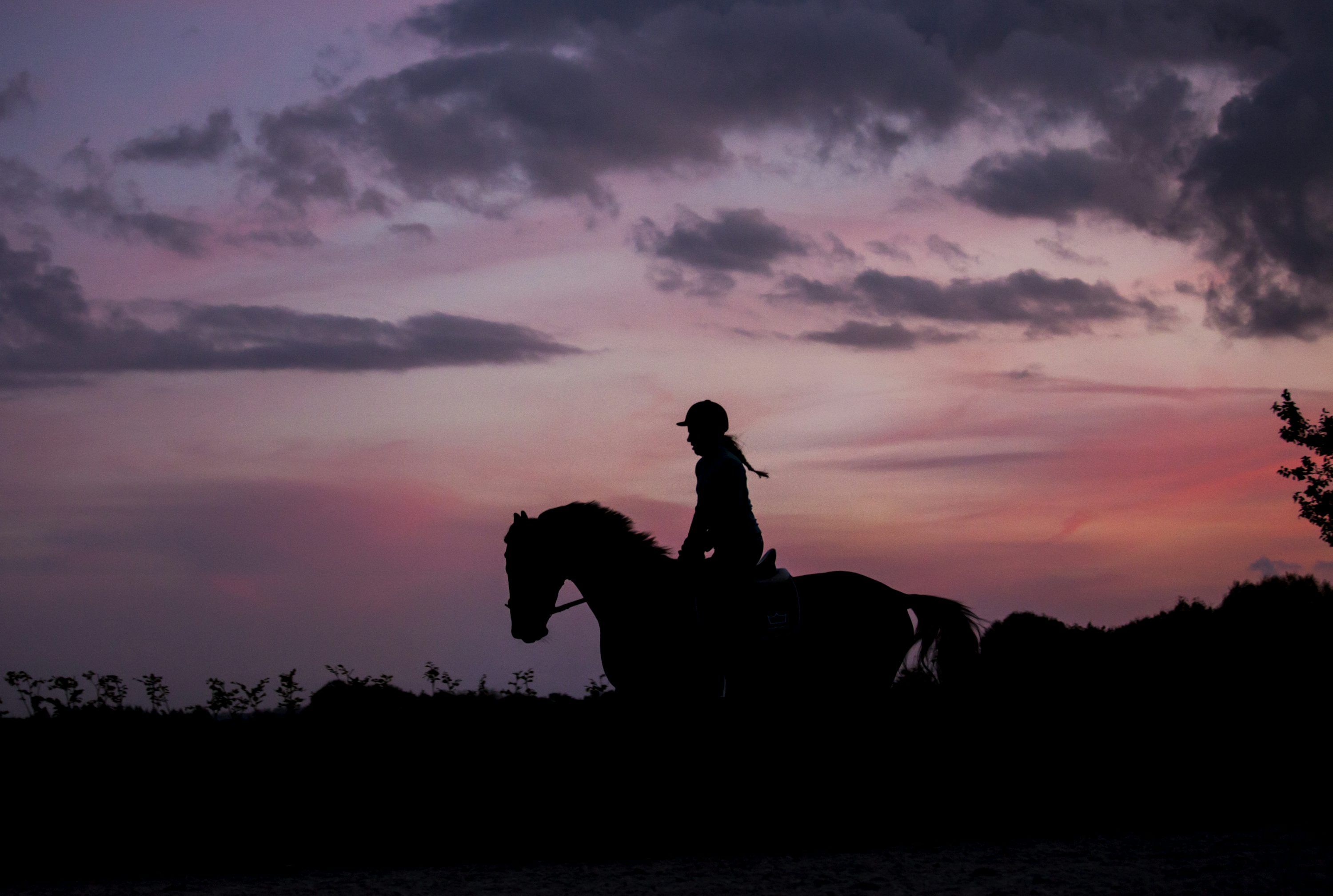 3000x2017 Woman riding horse