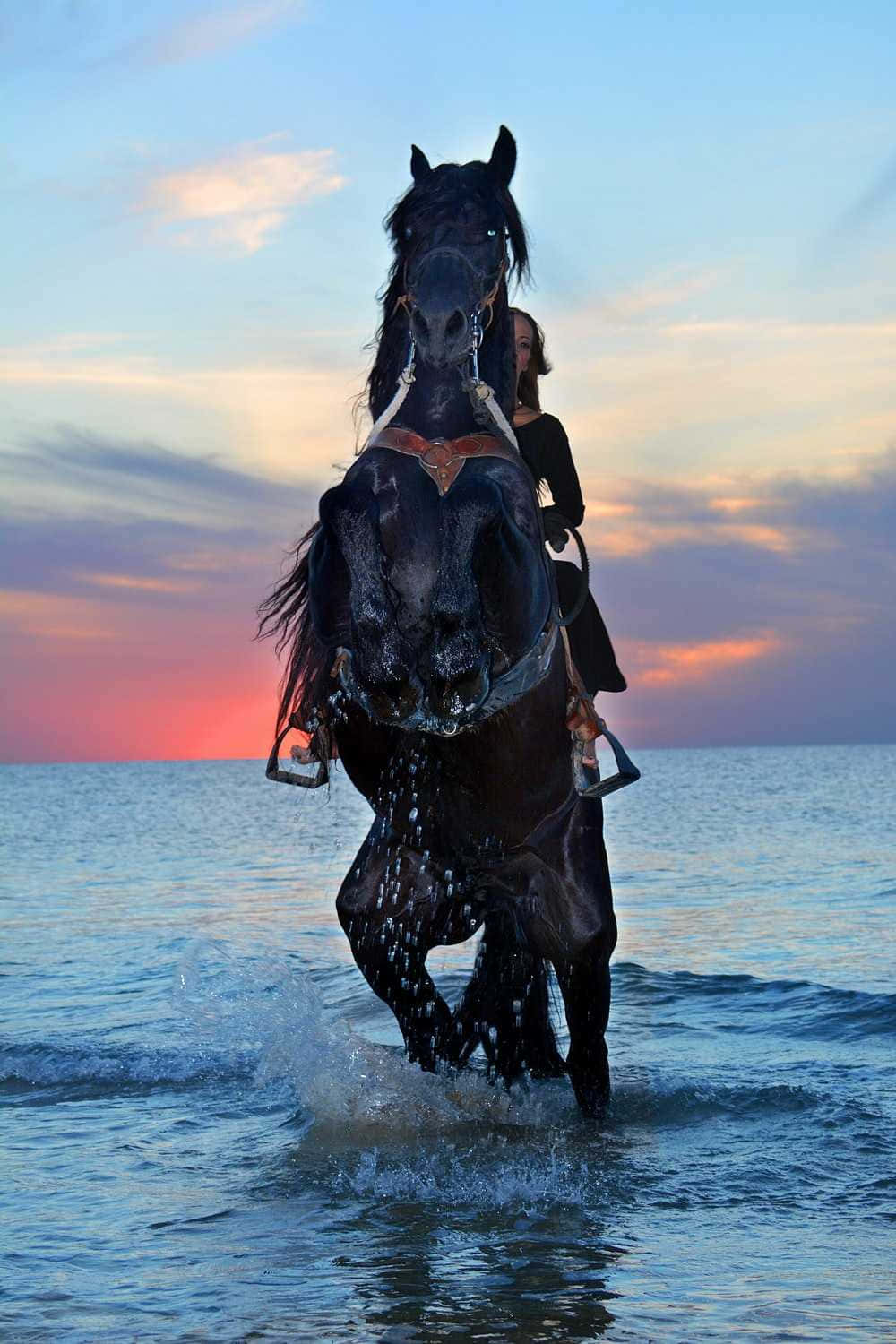 1000x1500 Download Woman Riding On A Beautiful Horse Picture