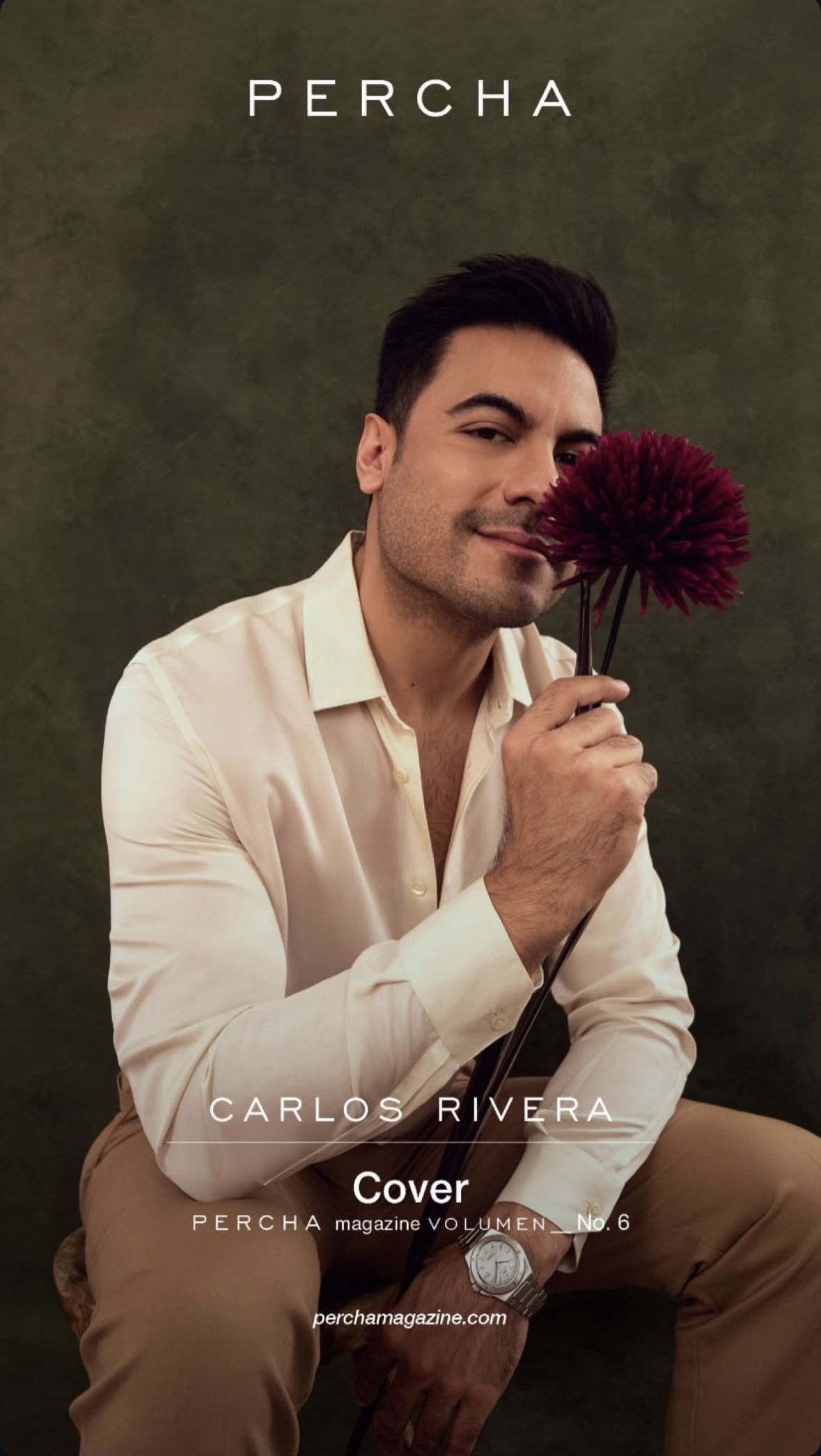 1179x2089 Descubre 120 ideas de Carlos Rivera ❤️ y cantante carlos rivera. rivera, cantantes, carlos rivera y más