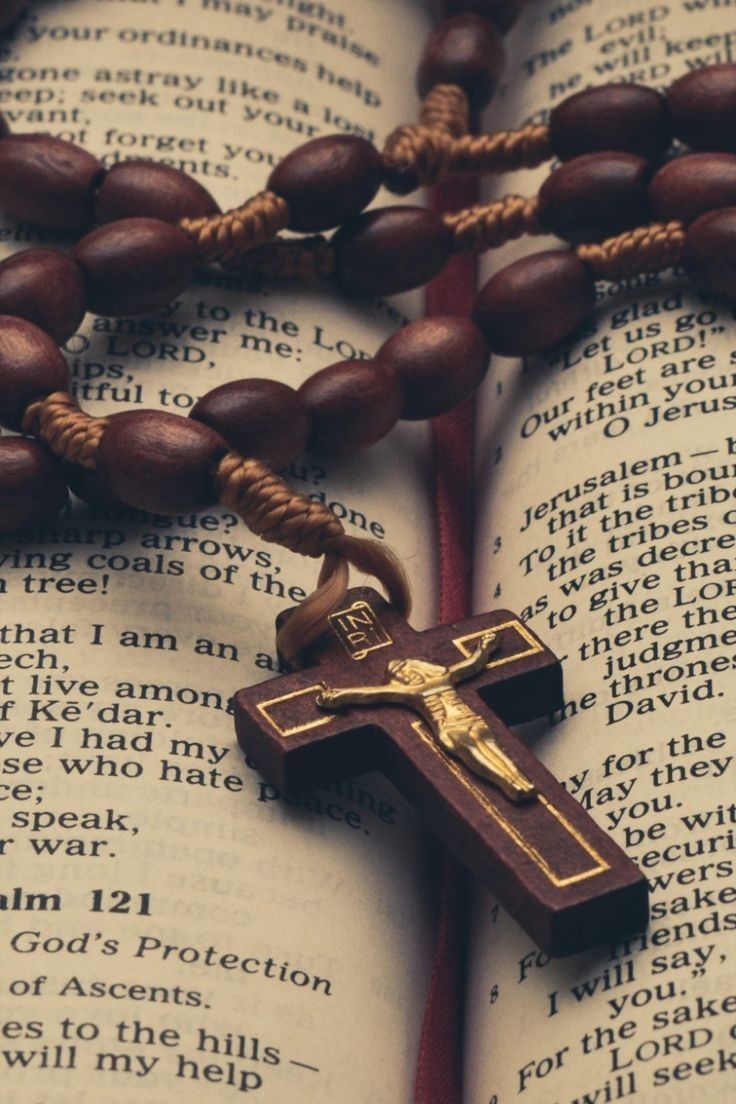736x1104 The Rosary and the Bible. Imagens de terços, Frases sobre jesus, Fotos de borboletas lindas