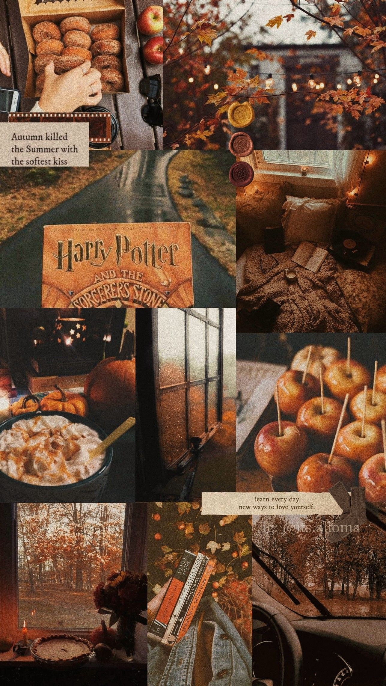 1288x2289 Harry Potter Fall Wallpaper