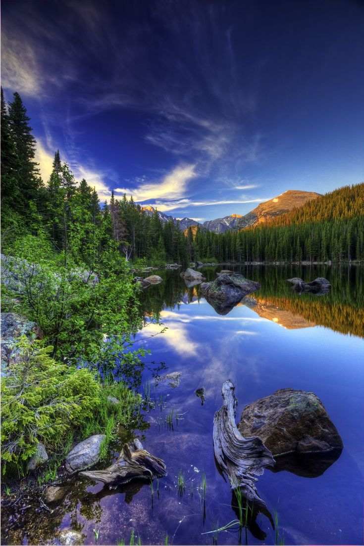 735x1104 Bear Lake, Rocky Mountain National Park, Colorado