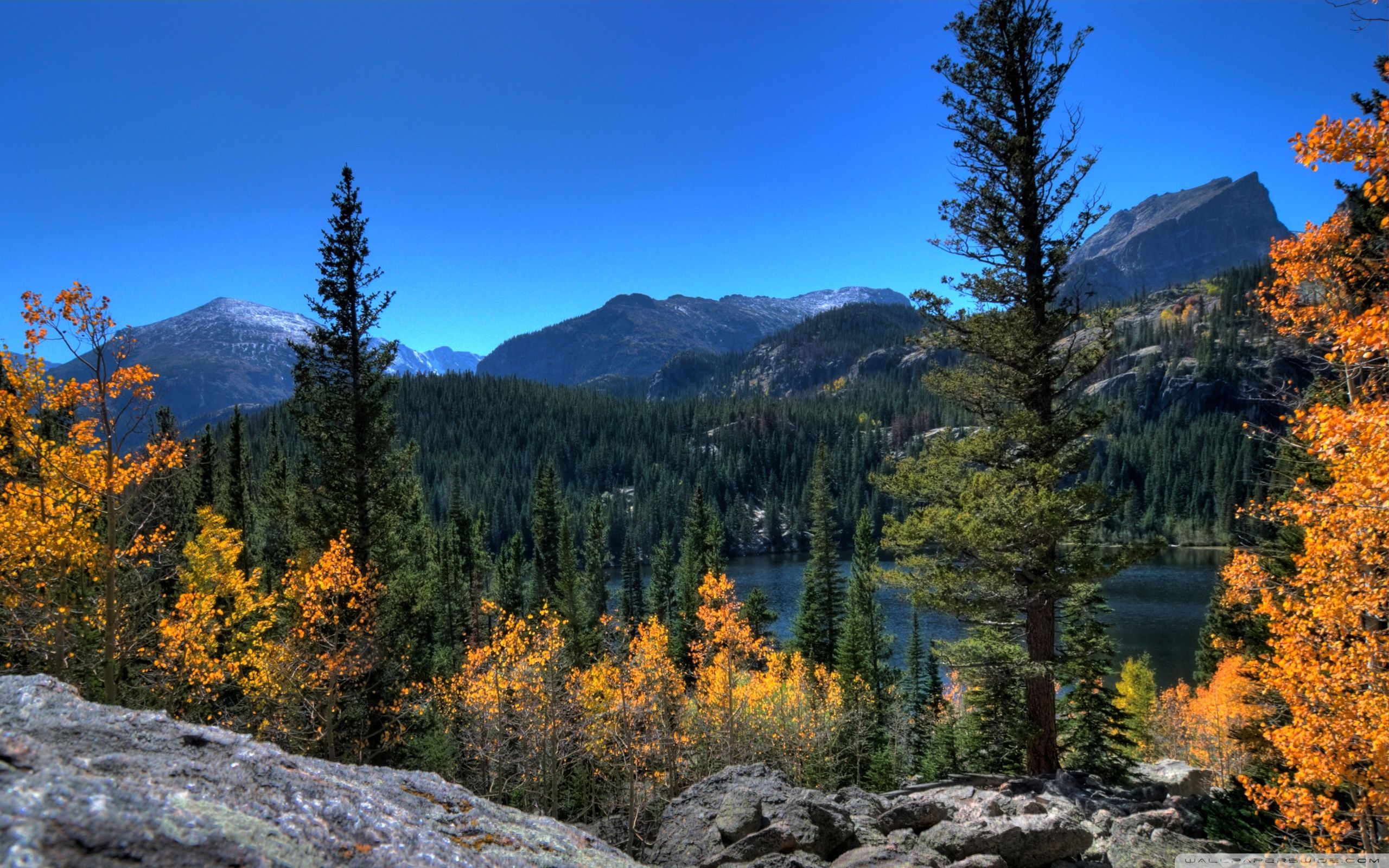 2560x1600 Bear Lake, Rocky Mountain National Park, Colorado 4K UHD Wallpaper for UltraHD Desktop and TV : Smartphone and Tablet Devices