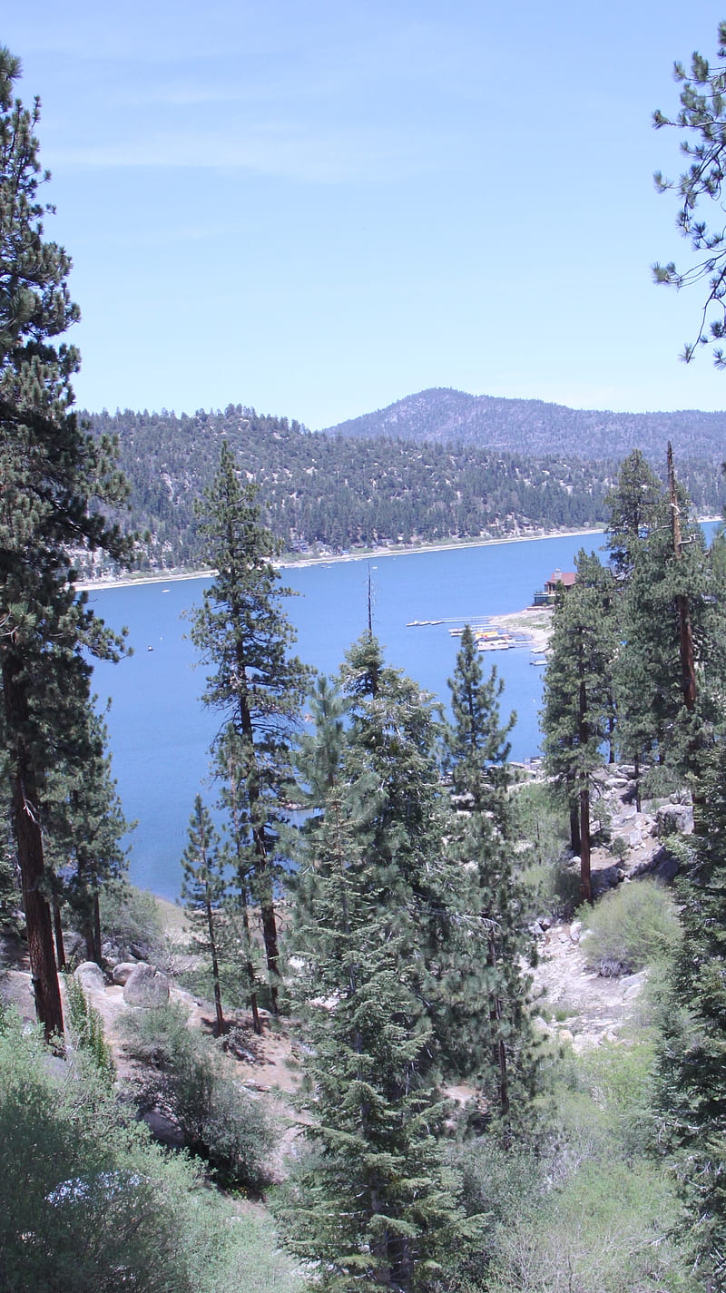 800x1425 Big Bear, lake, lakes, pine trees, shoreline, water, HD phone wallpaper