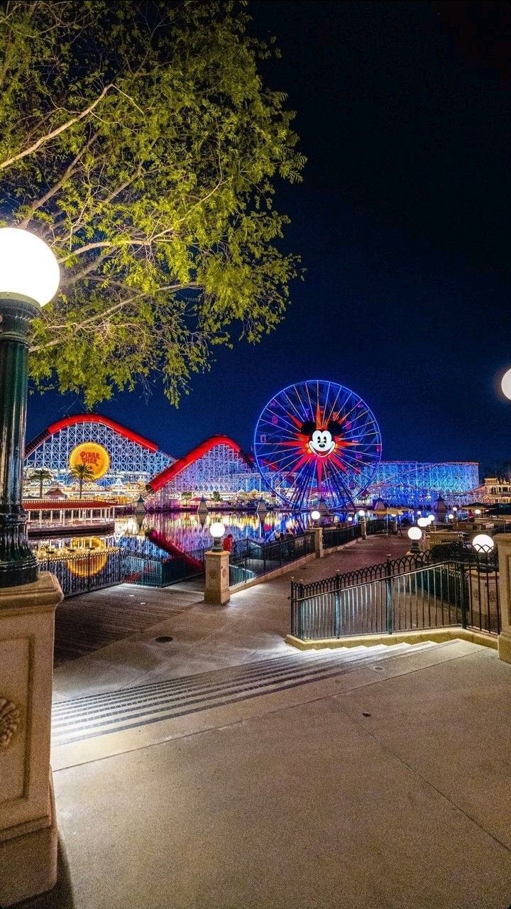720x1280 California Adventure at Night wallpaper